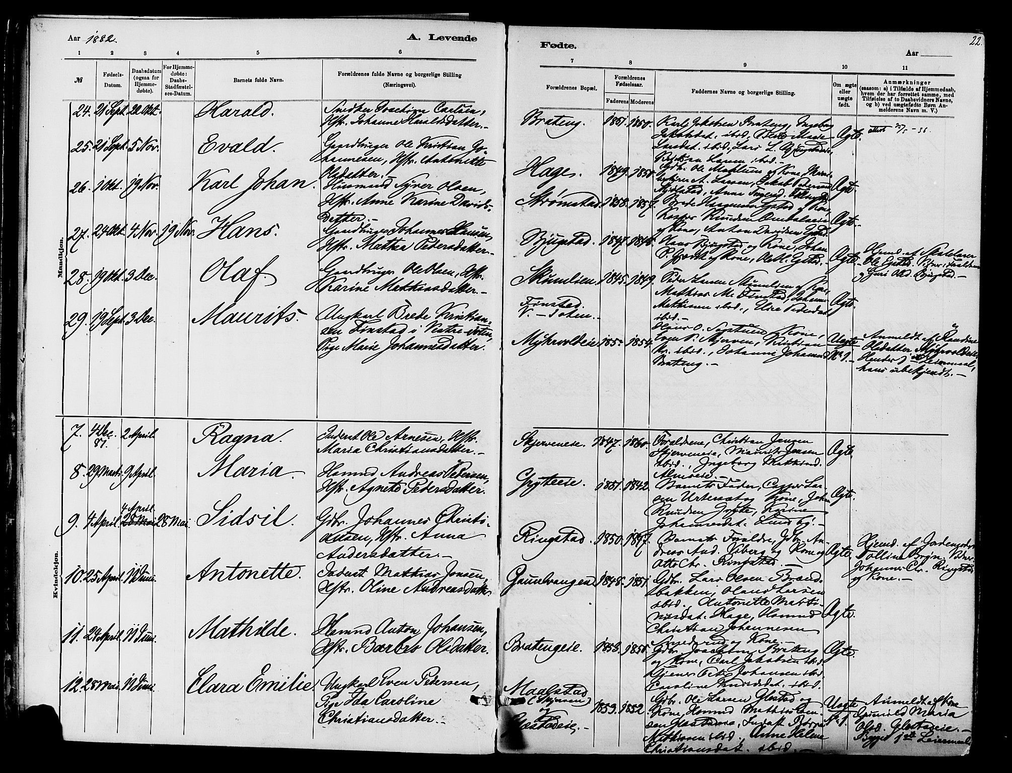 Vardal prestekontor, SAH/PREST-100/H/Ha/Haa/L0010: Parish register (official) no. 10, 1878-1893, p. 22