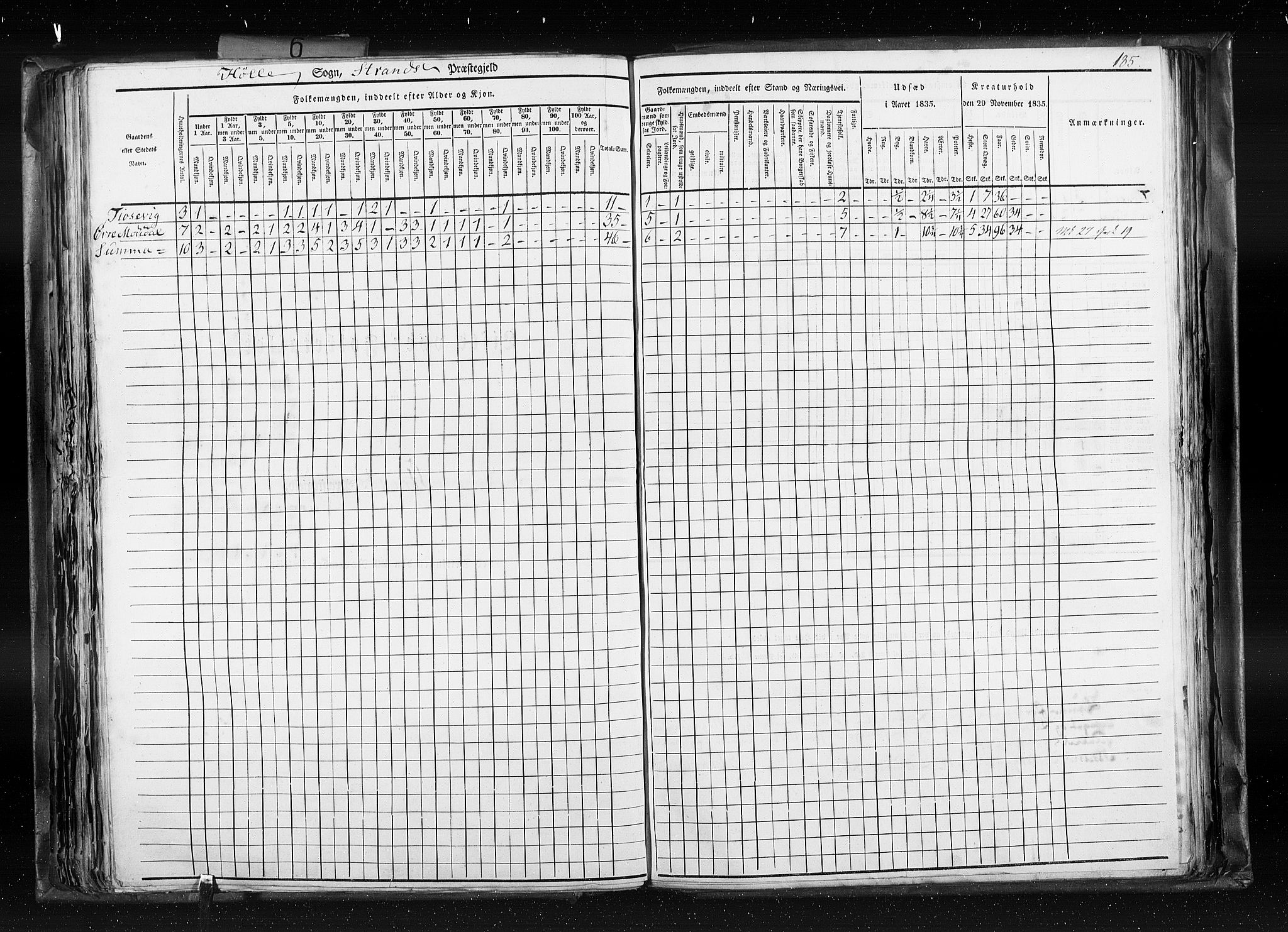 RA, Census 1835, vol. 6: Lister og Mandal amt og Stavanger amt, 1835, p. 185