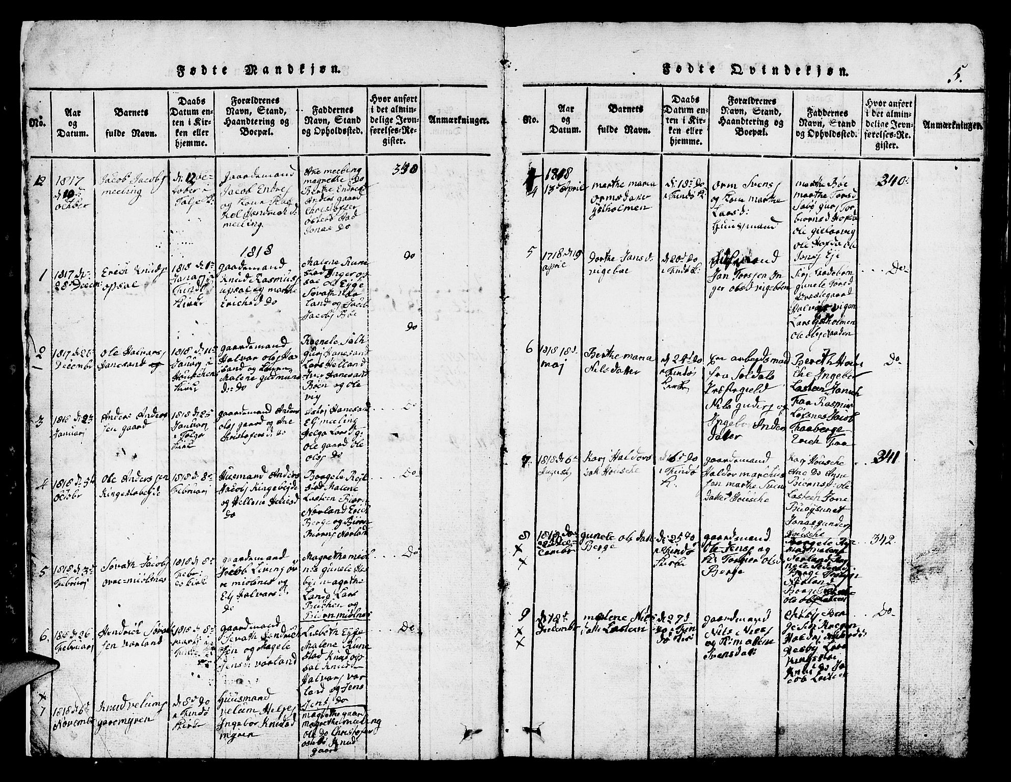 Finnøy sokneprestkontor, SAST/A-101825/H/Ha/Hab/L0001: Parish register (copy) no. B 1, 1816-1856, p. 5