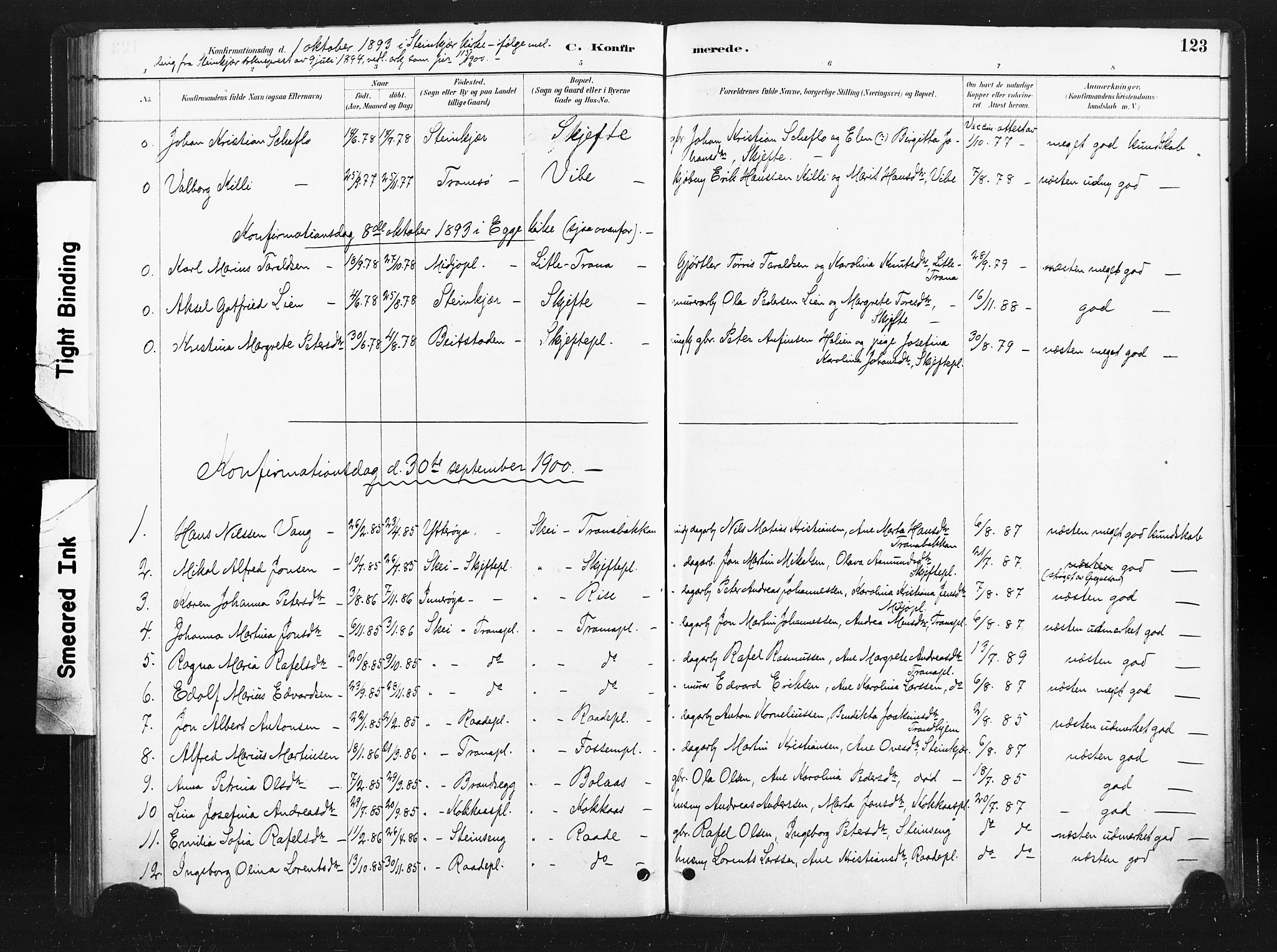 Ministerialprotokoller, klokkerbøker og fødselsregistre - Nord-Trøndelag, SAT/A-1458/736/L0361: Parish register (official) no. 736A01, 1884-1906, p. 123