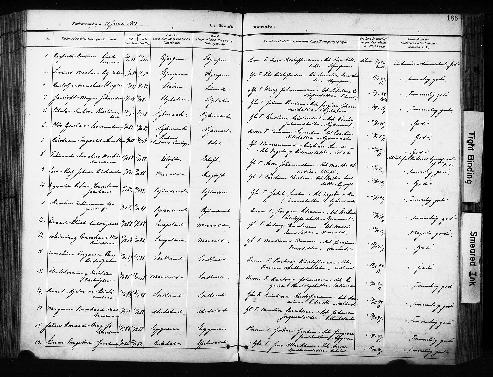 Ministerialprotokoller, klokkerbøker og fødselsregistre - Nordland, AV/SAT-A-1459/880/L1134: Parish register (official) no. 880A08, 1899-1908, p. 186