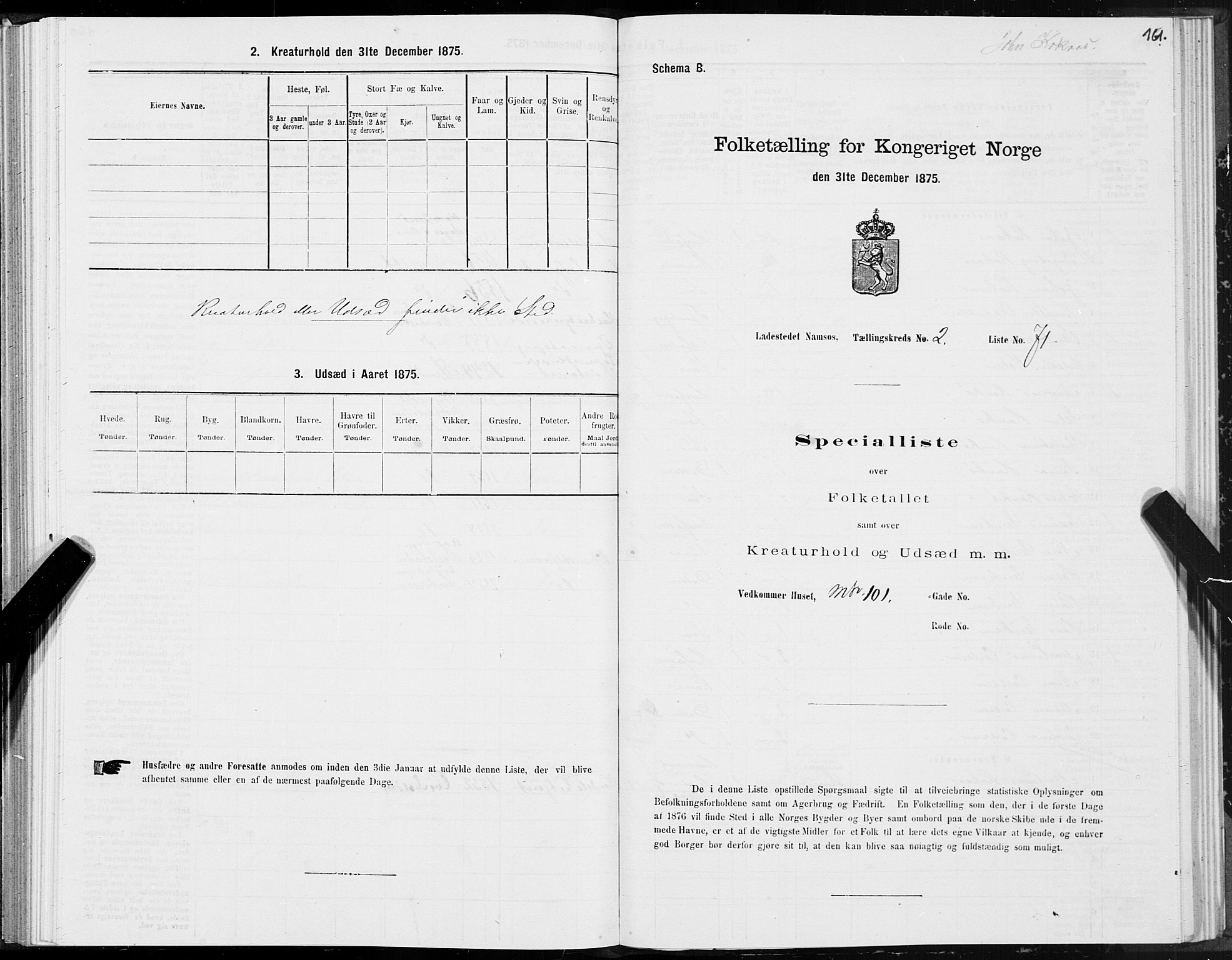SAT, 1875 census for 1703B Namsos/Namsos, 1875, p. 161