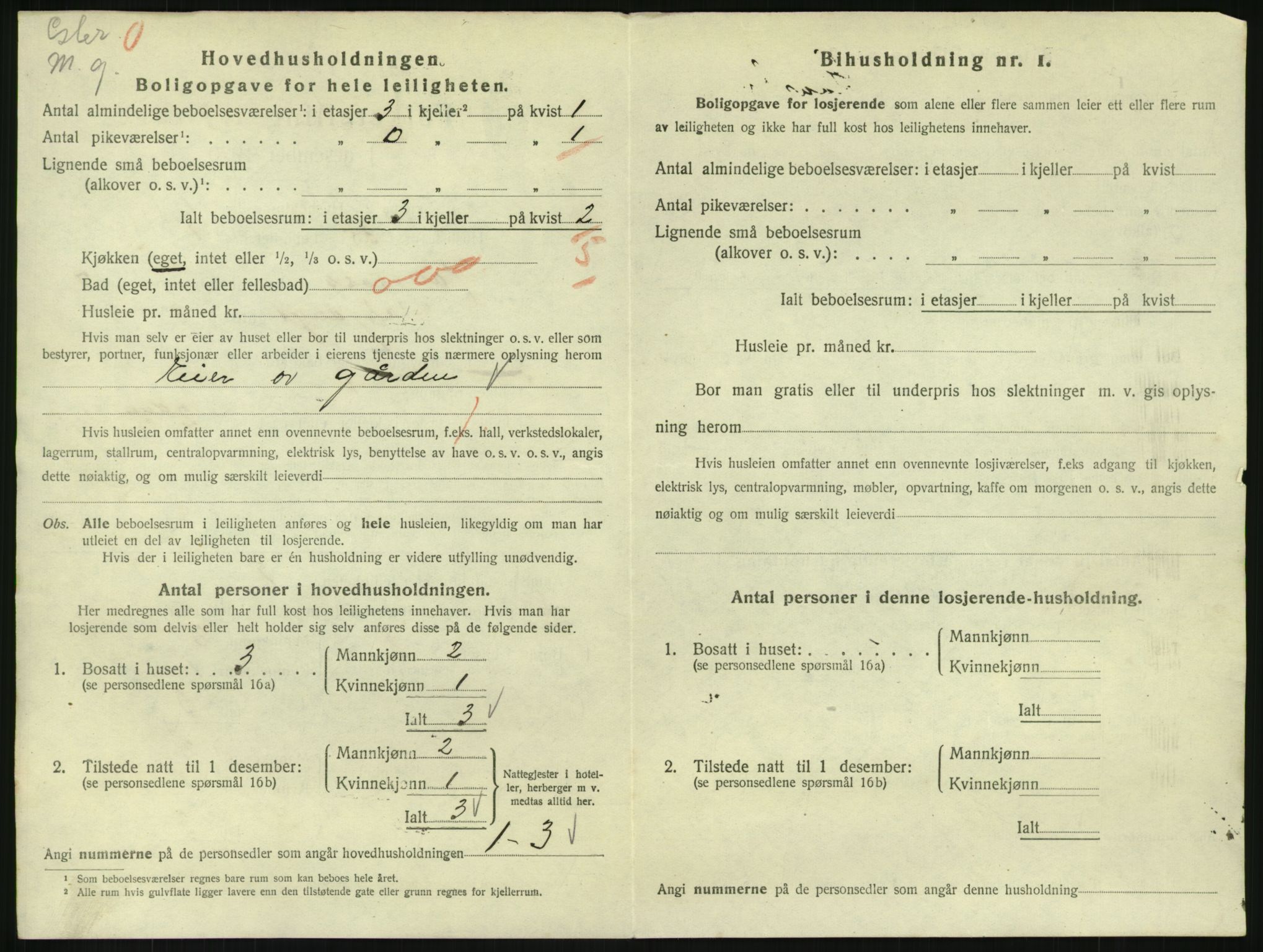 SAKO, 1920 census for Hønefoss, 1920, p. 2265