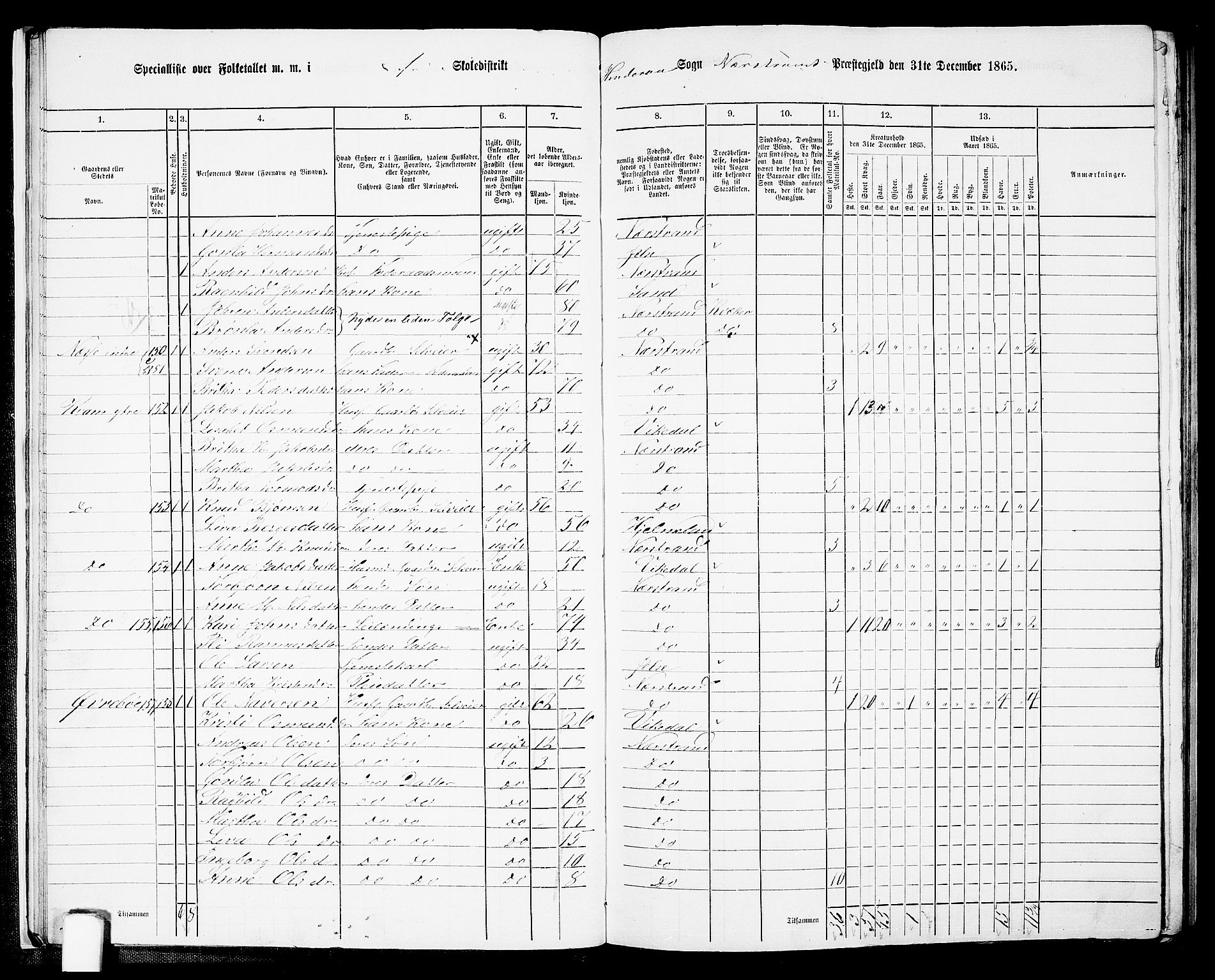 RA, 1865 census for Nedstrand, 1865, p. 19