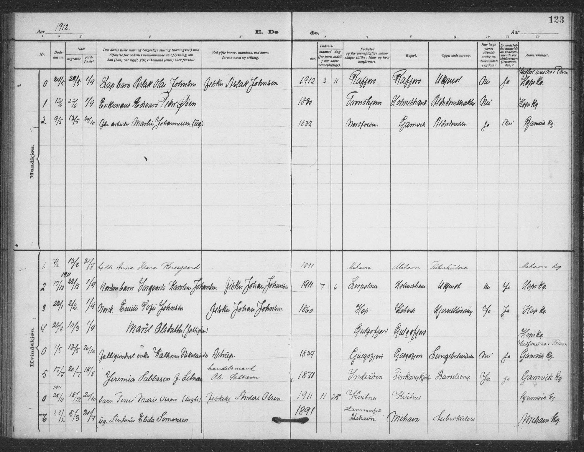 Tana sokneprestkontor, SATØ/S-1334/H/Ha/L0008kirke: Parish register (official) no. 8, 1908-1920, p. 123