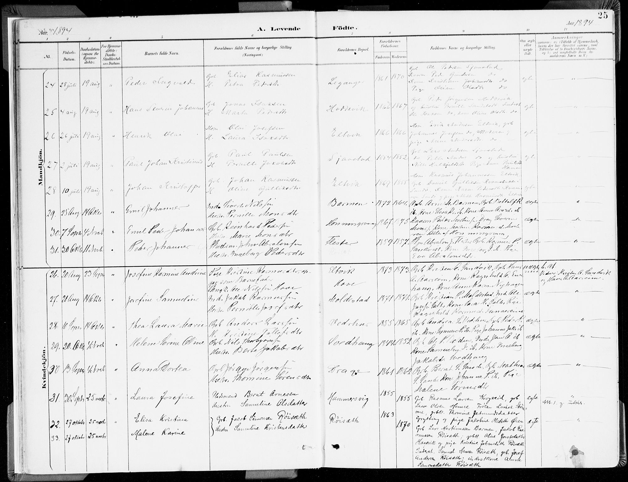 Selje sokneprestembete, AV/SAB-A-99938/H/Ha/Haa/Haab: Parish register (official) no. B 2, 1891-1907, p. 25