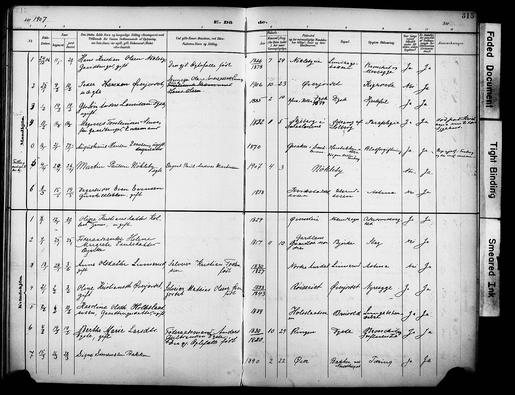 Vestre Toten prestekontor, AV/SAH-PREST-108/H/Ha/Haa/L0013: Parish register (official) no. 13, 1895-1911, p. 315