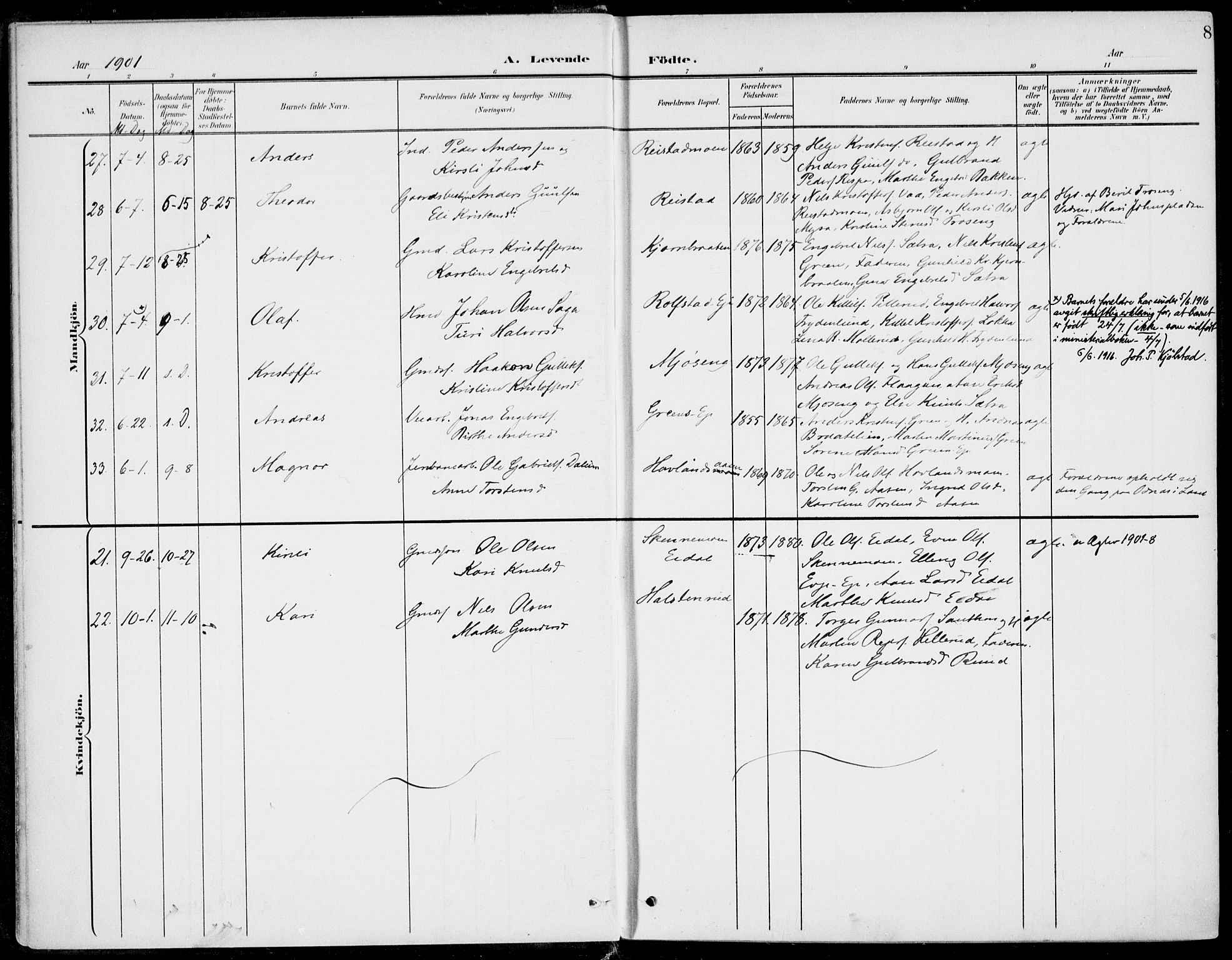 Sigdal kirkebøker, AV/SAKO-A-245/F/Fb/L0002: Parish register (official) no. II 2, 1901-1914, p. 8