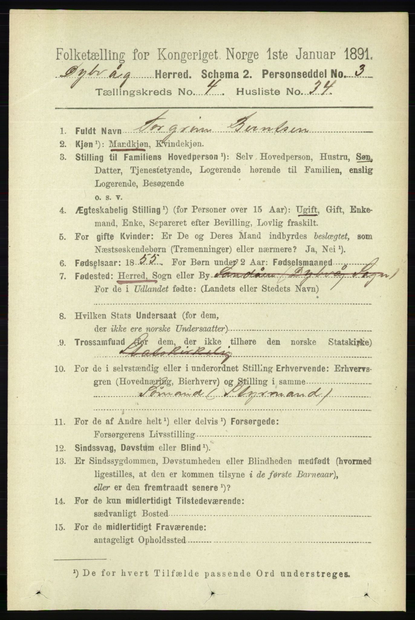 RA, 1891 census for 0915 Dypvåg, 1891, p. 1227