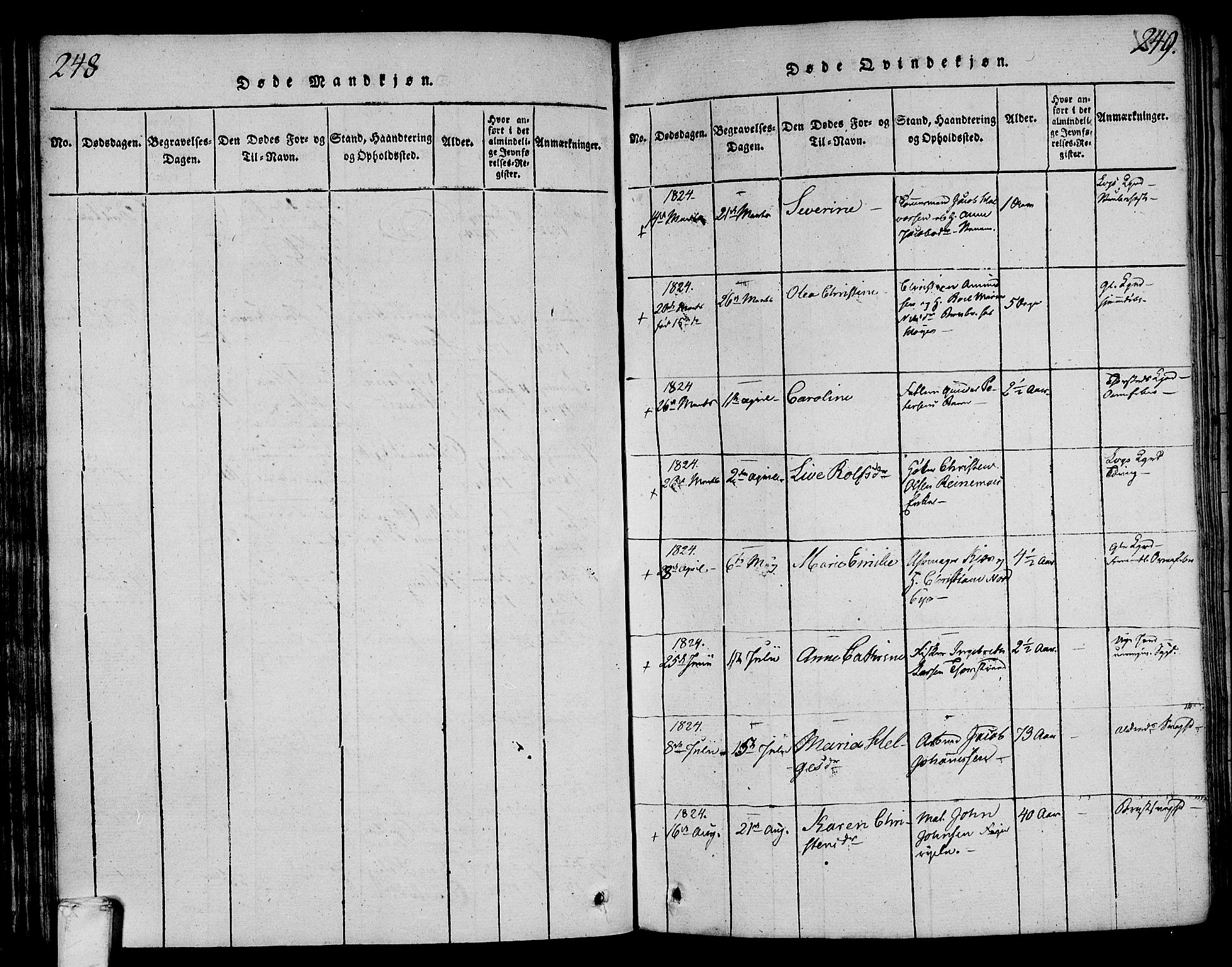 Larvik kirkebøker, AV/SAKO-A-352/F/Fa/L0001: Parish register (official) no. I 1, 1814-1825, p. 248-249