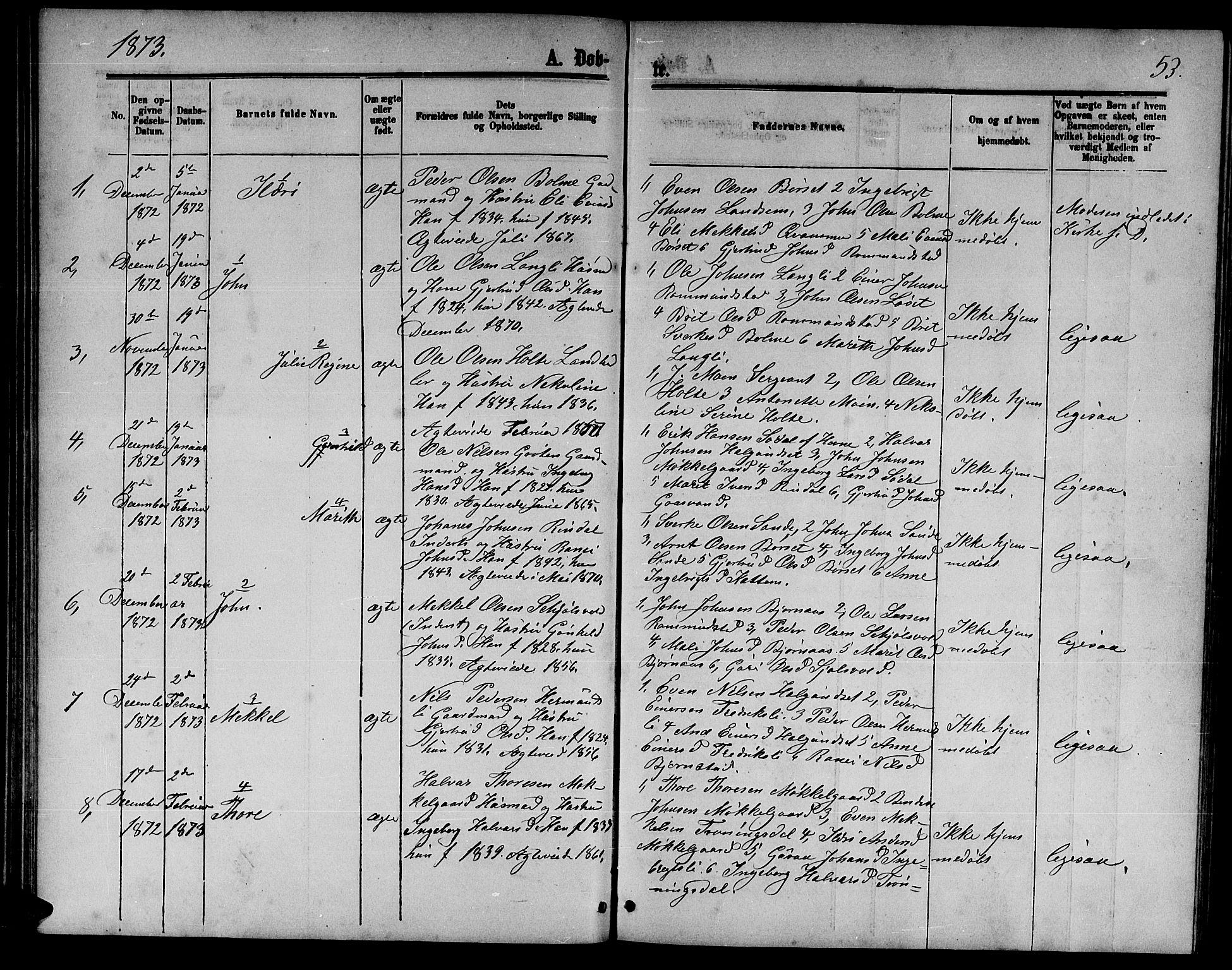 Ministerialprotokoller, klokkerbøker og fødselsregistre - Møre og Romsdal, AV/SAT-A-1454/598/L1076: Parish register (copy) no. 598C01, 1867-1878, p. 53