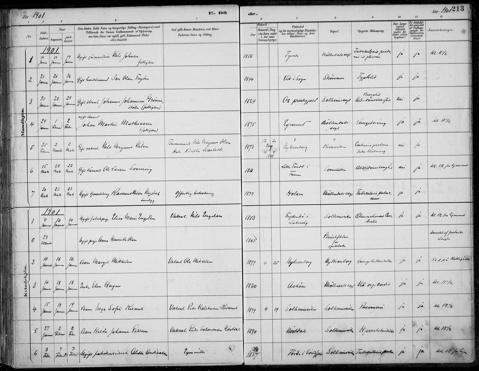 Årstad Sokneprestembete, SAB/A-79301/H/Haa/L0006: Parish register (official) no. B 1, 1886-1901, p. 213