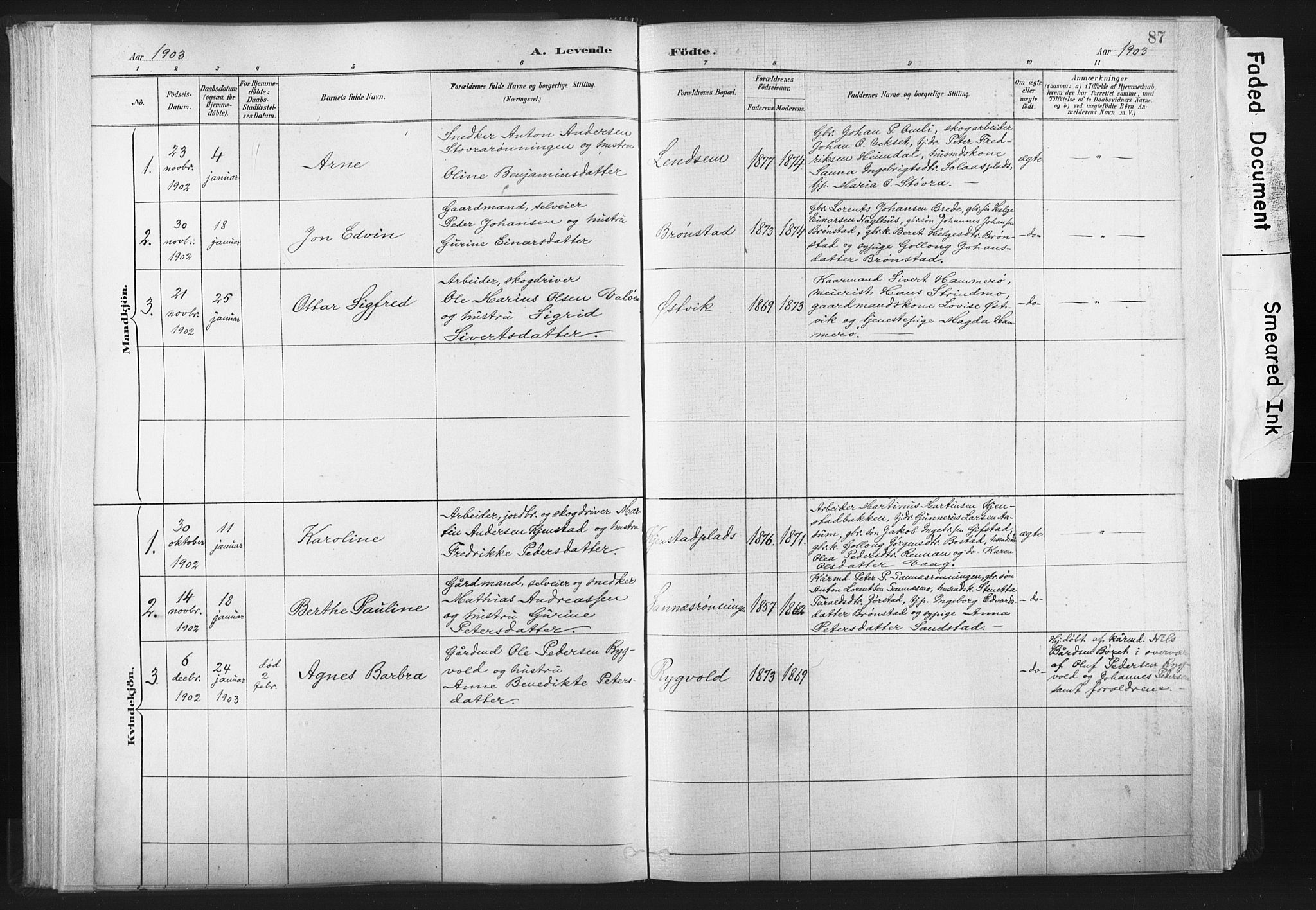 Ministerialprotokoller, klokkerbøker og fødselsregistre - Nord-Trøndelag, SAT/A-1458/749/L0474: Parish register (official) no. 749A08, 1887-1903, p. 87