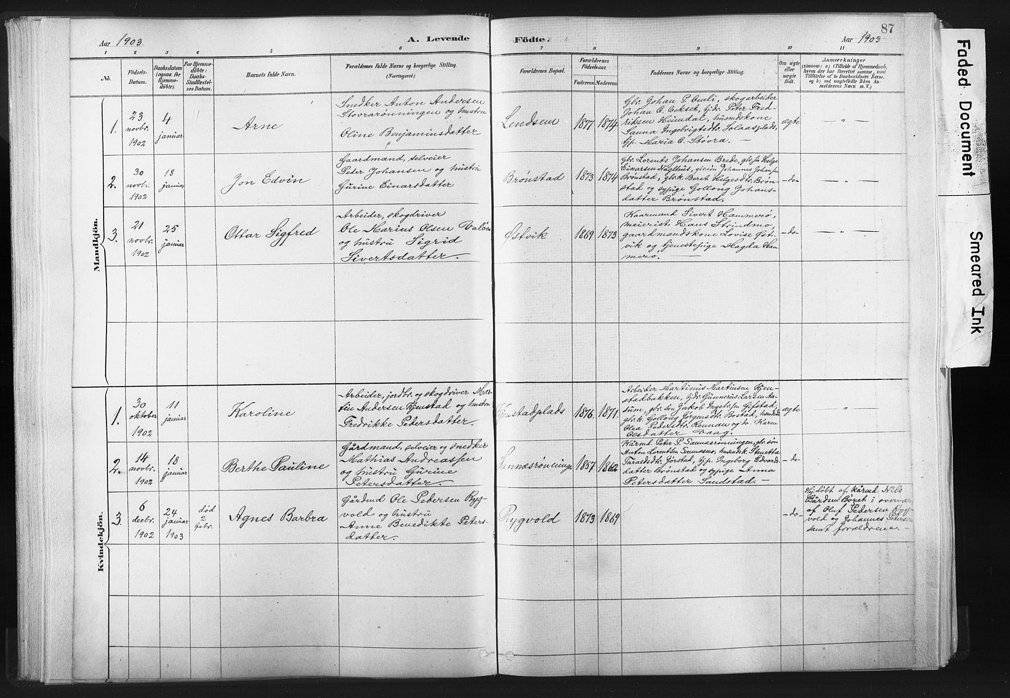 Ministerialprotokoller, klokkerbøker og fødselsregistre - Nord-Trøndelag, AV/SAT-A-1458/749/L0474: Parish register (official) no. 749A08, 1887-1903, p. 87