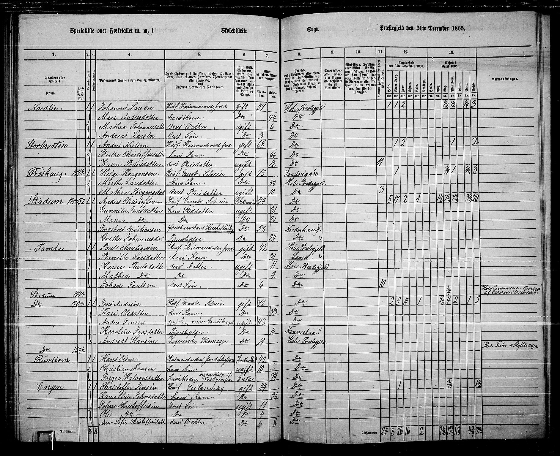 RA, 1865 census for Hole, 1865, p. 110