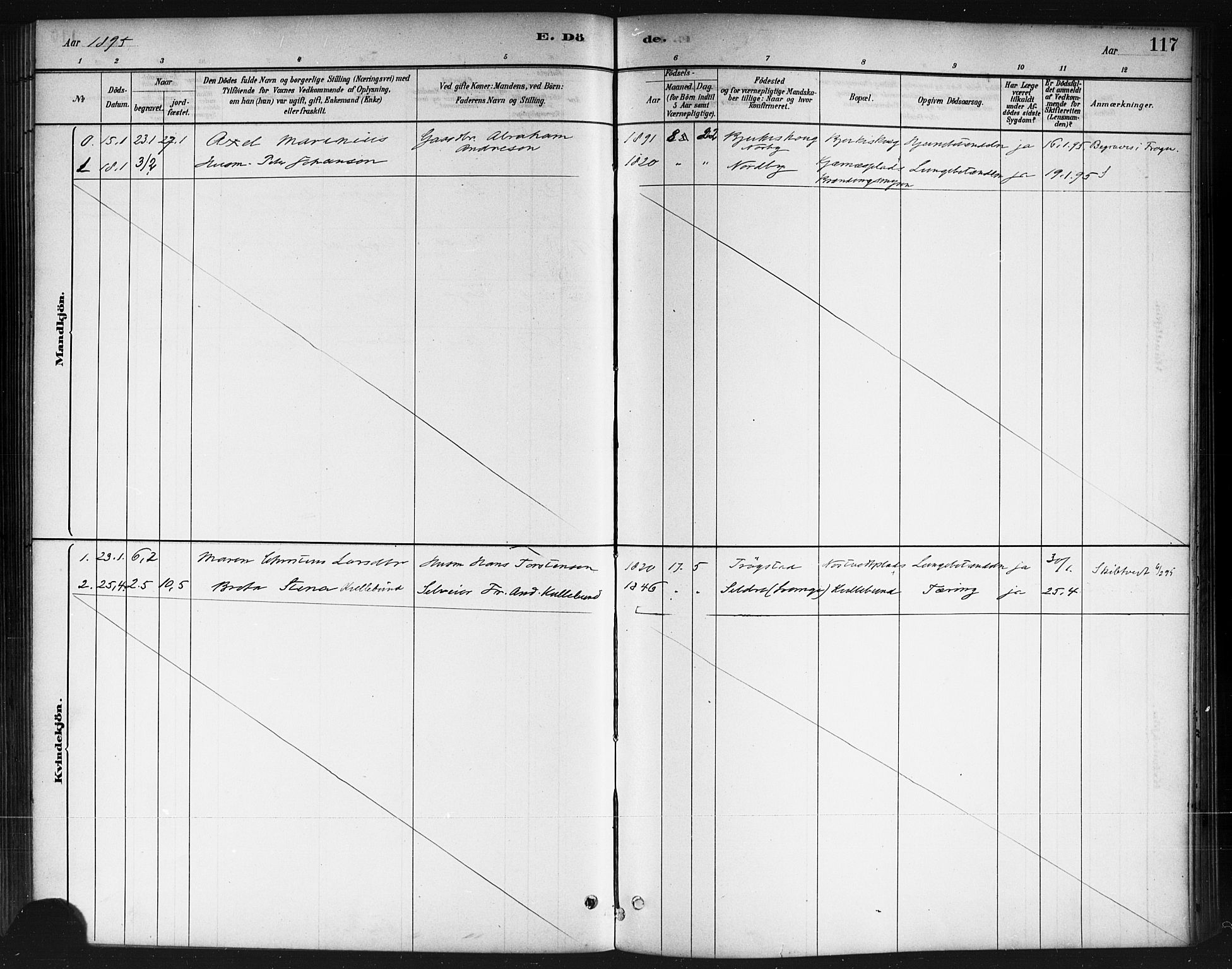 Ås prestekontor Kirkebøker, AV/SAO-A-10894/F/Fb/L0001: Parish register (official) no. II 1, 1881-1895, p. 117