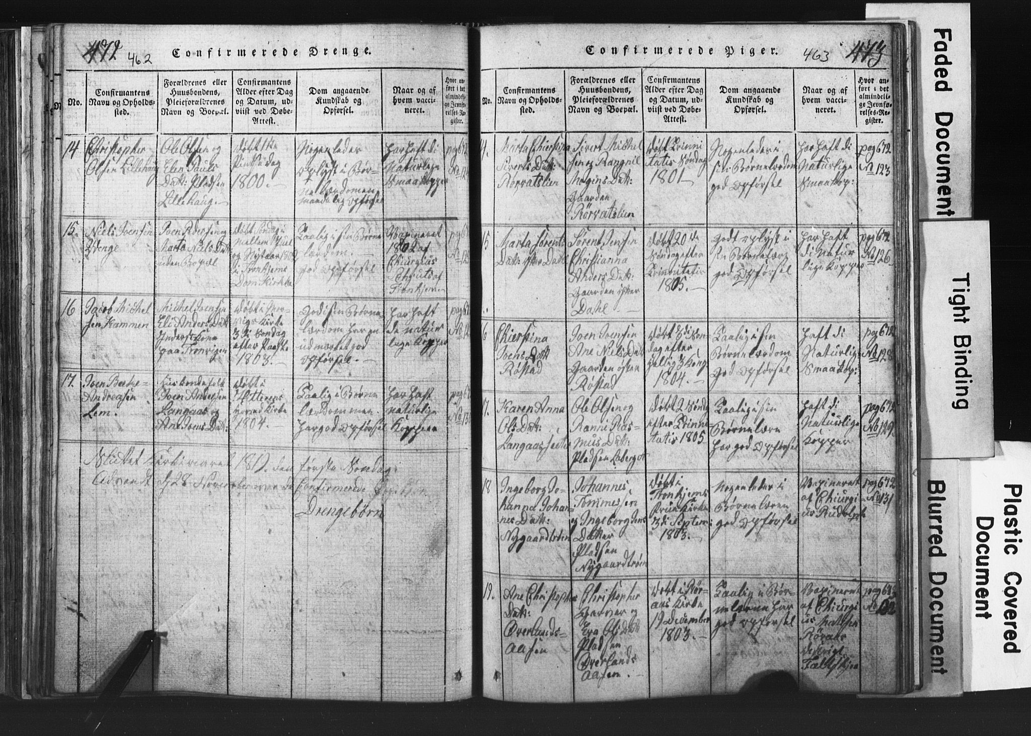 Ministerialprotokoller, klokkerbøker og fødselsregistre - Nord-Trøndelag, SAT/A-1458/701/L0017: Parish register (copy) no. 701C01, 1817-1825, p. 462-463