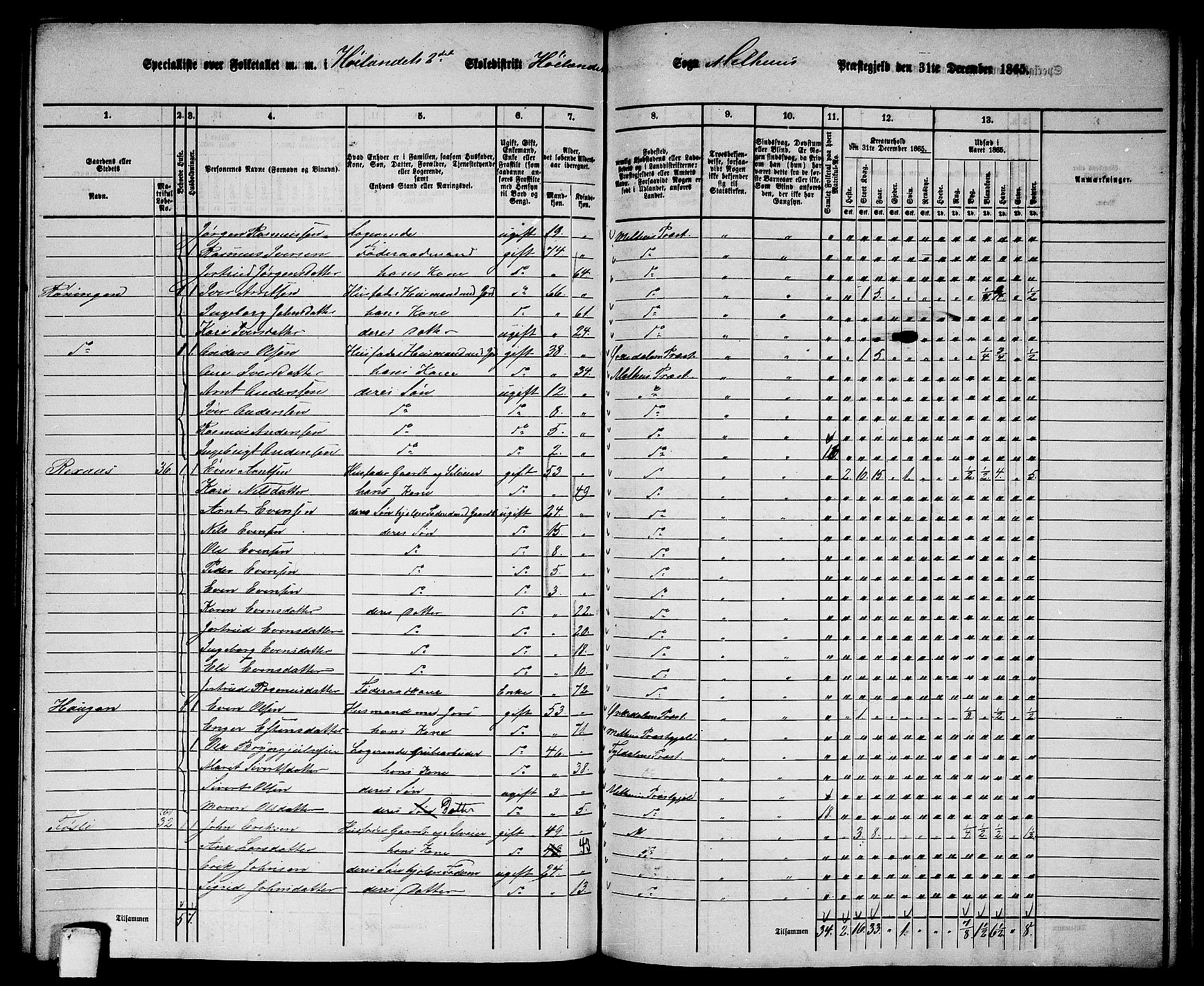 RA, 1865 census for Melhus, 1865, p. 195