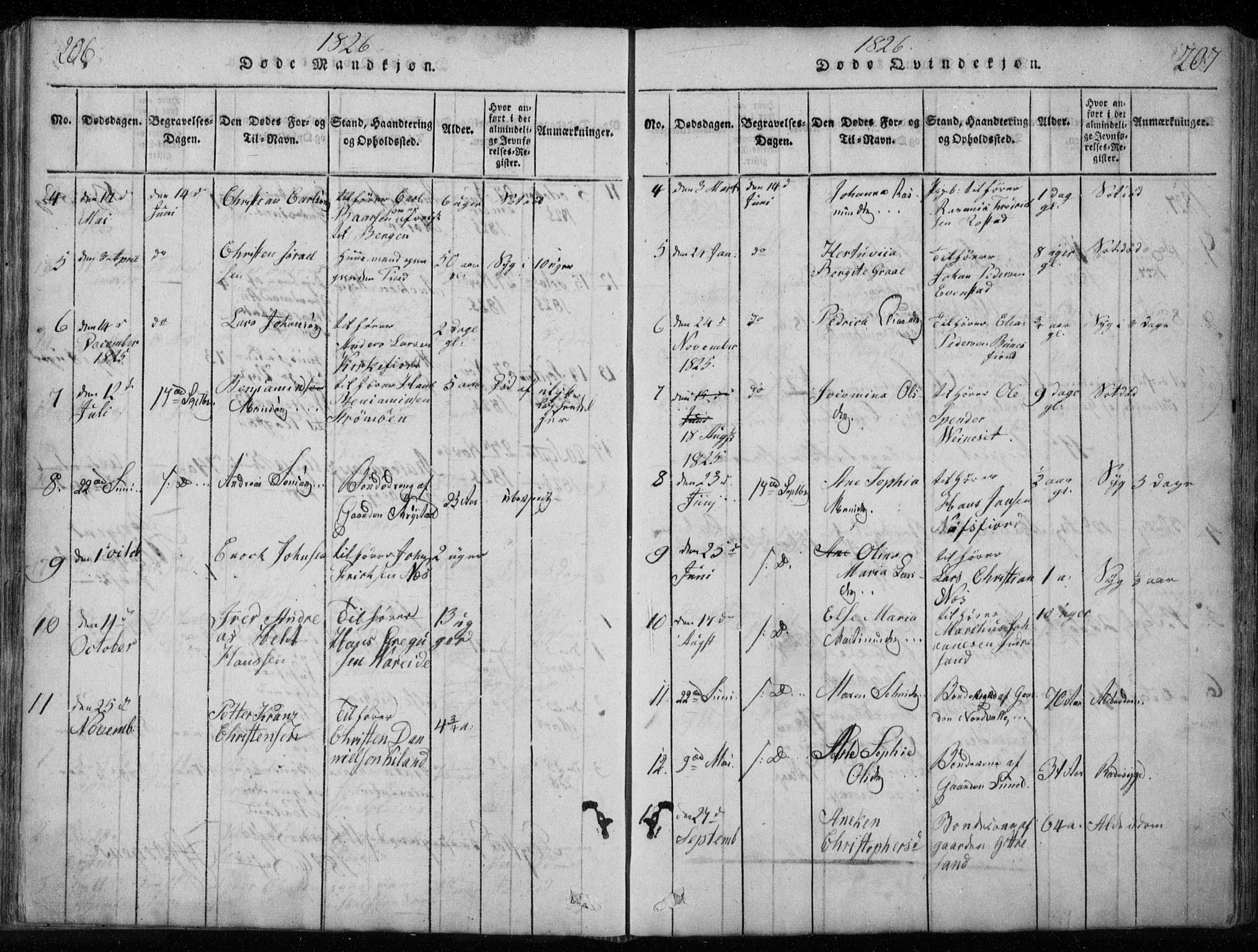 Ministerialprotokoller, klokkerbøker og fødselsregistre - Nordland, AV/SAT-A-1459/885/L1201: Parish register (official) no. 885A02, 1820-1837, p. 206-207