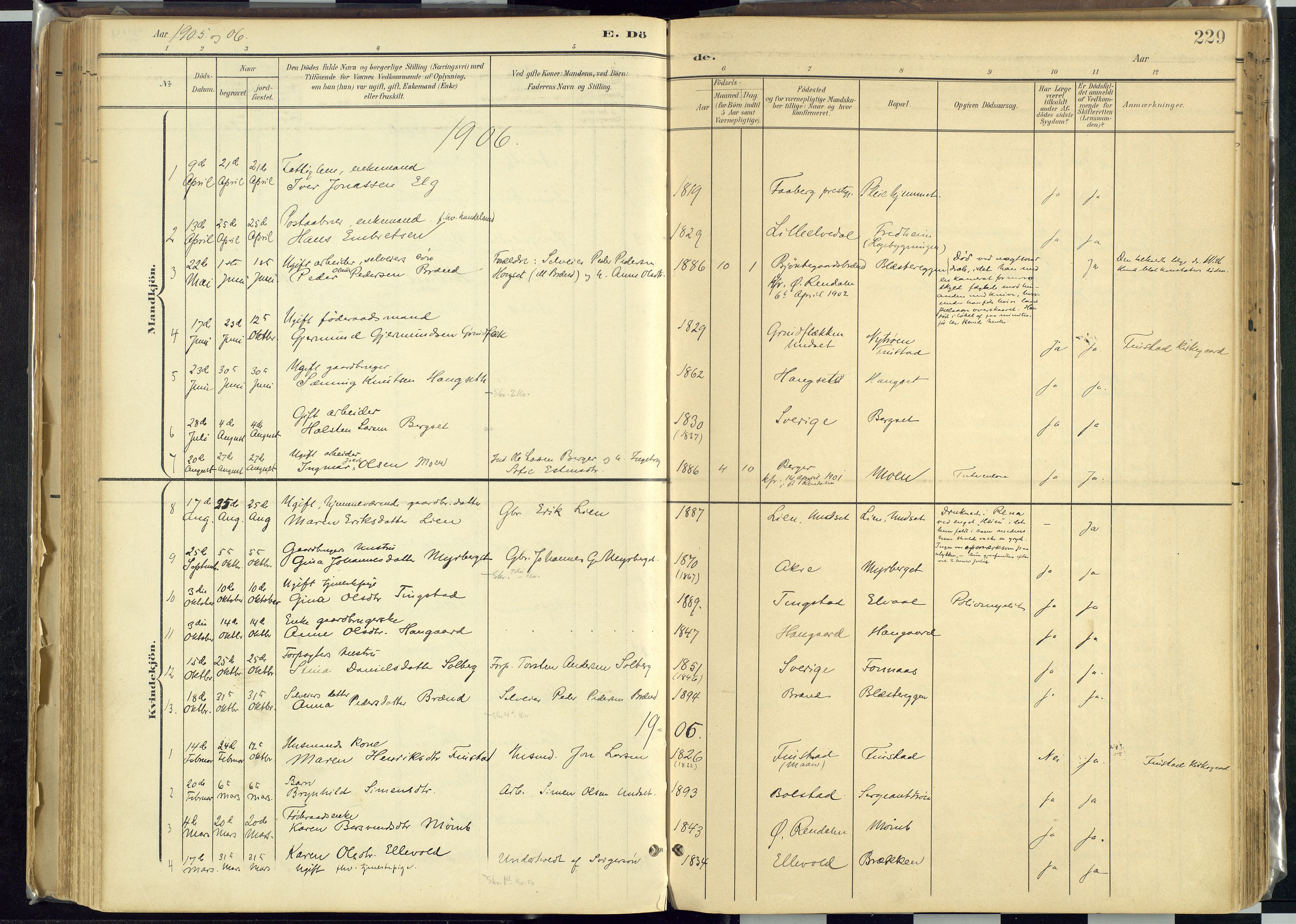 Rendalen prestekontor, AV/SAH-PREST-054/H/Ha/Haa/L0012: Parish register (official) no. 12, 1901-1928, p. 229