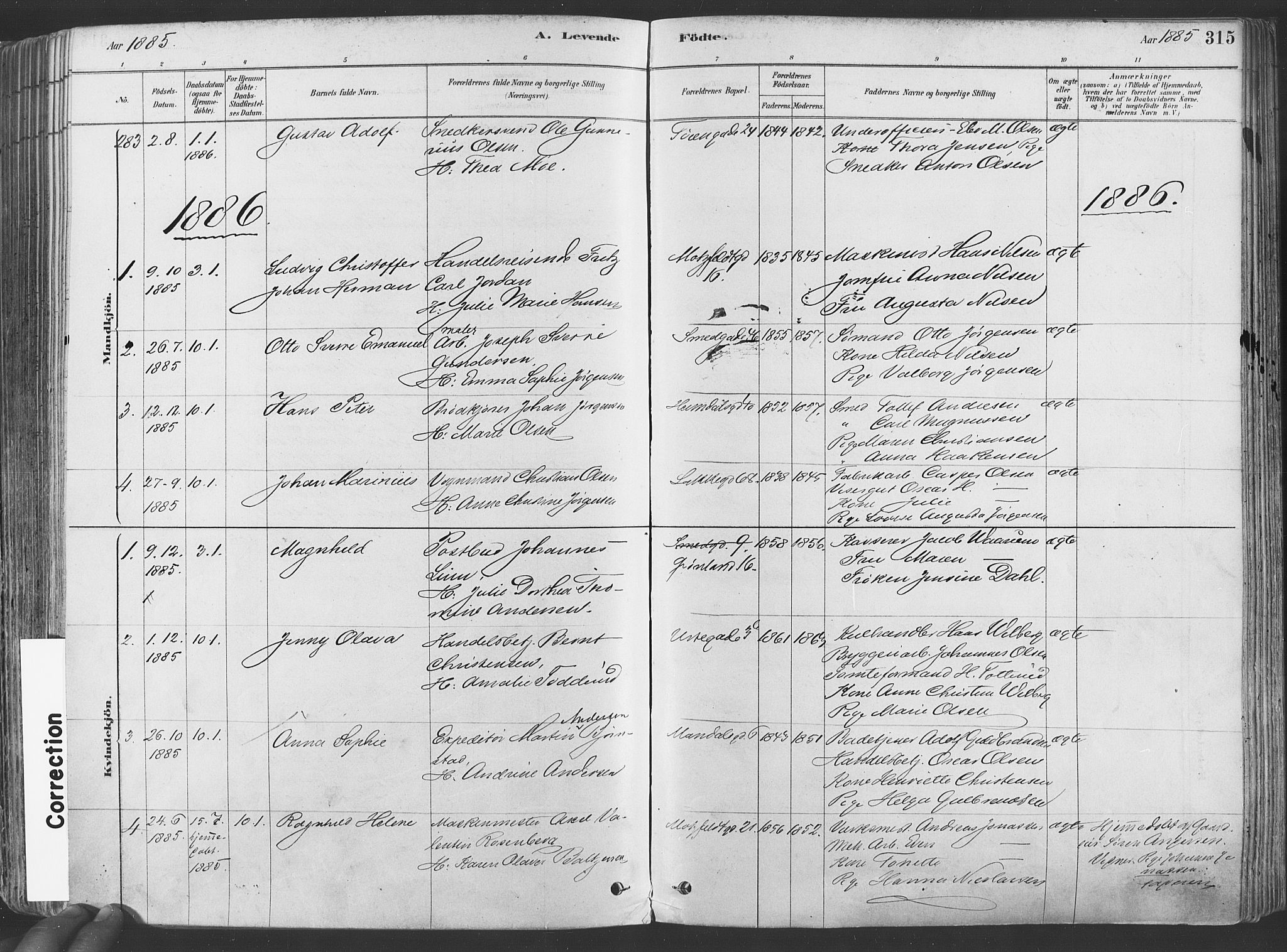 Grønland prestekontor Kirkebøker, SAO/A-10848/F/Fa/L0007: Parish register (official) no. 7, 1878-1888, p. 315