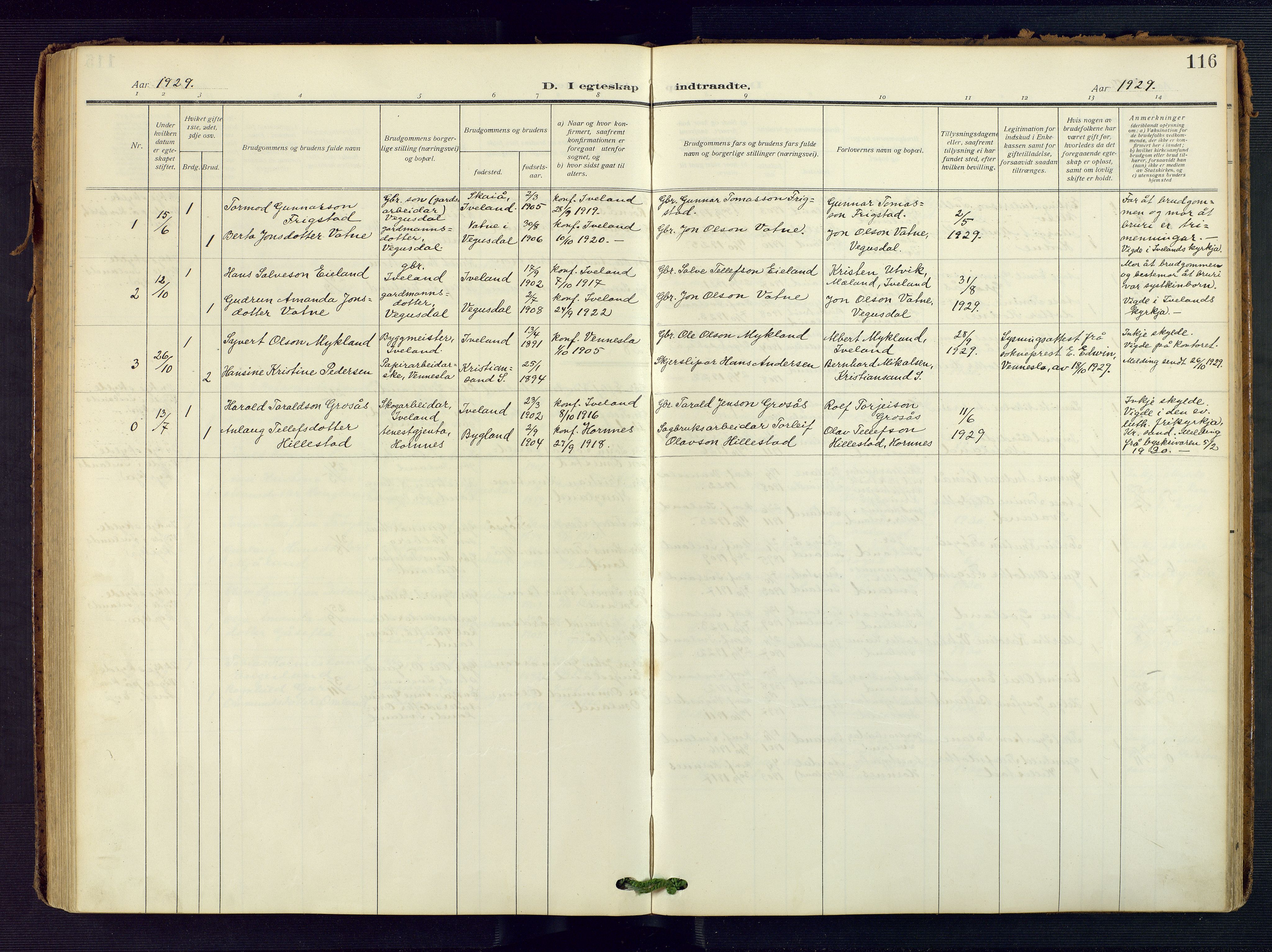 Evje sokneprestkontor, AV/SAK-1111-0008/F/Fa/Fac/L0004: Parish register (official) no. A 4, 1910-1932, p. 116