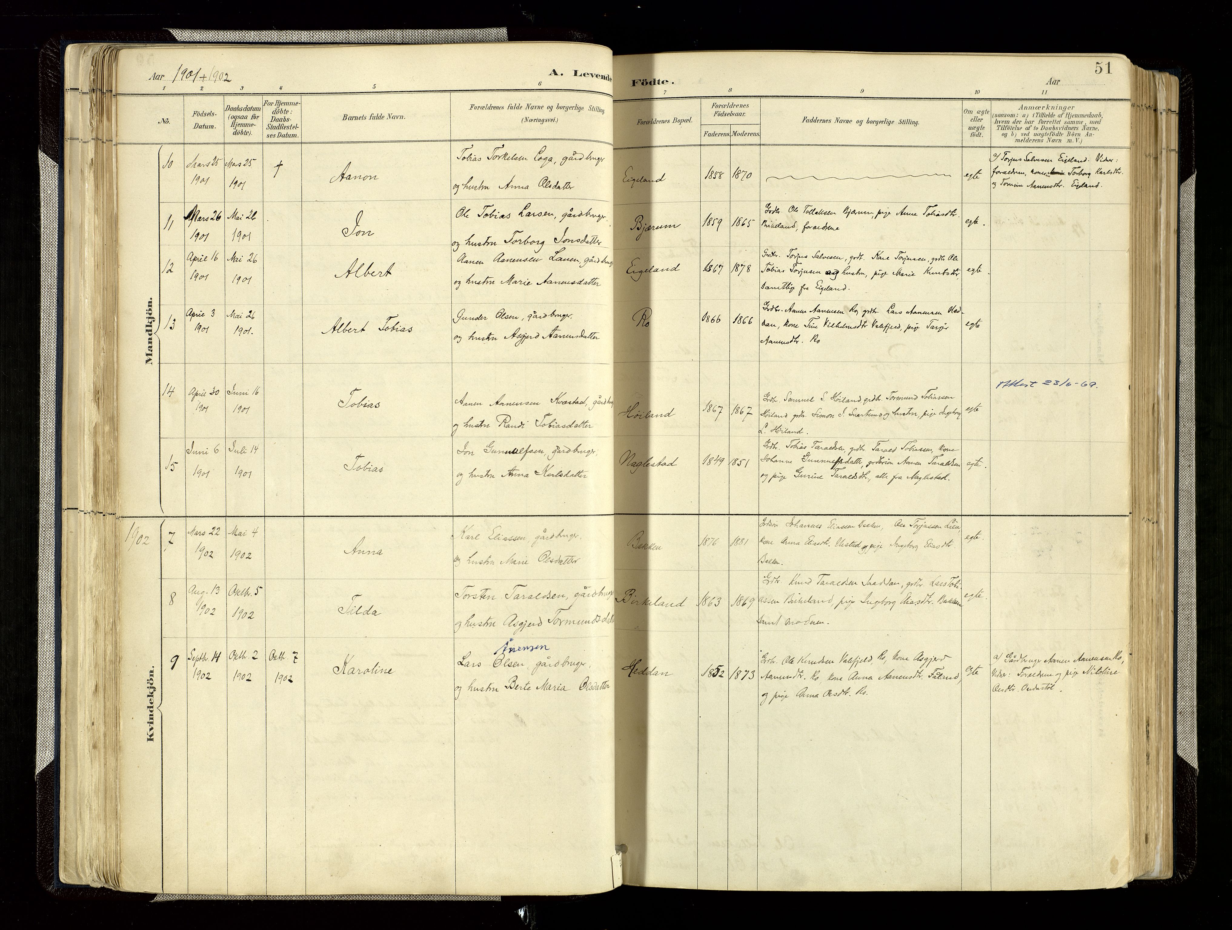 Hægebostad sokneprestkontor, AV/SAK-1111-0024/F/Fa/Faa/L0006: Parish register (official) no. A 6, 1887-1929, p. 51