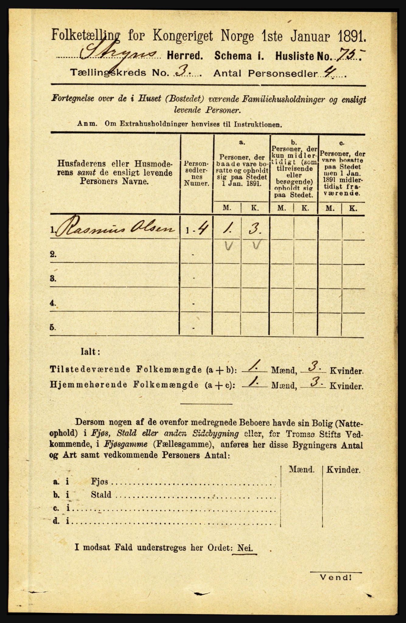 RA, 1891 census for 1448 Stryn, 1891, p. 1091