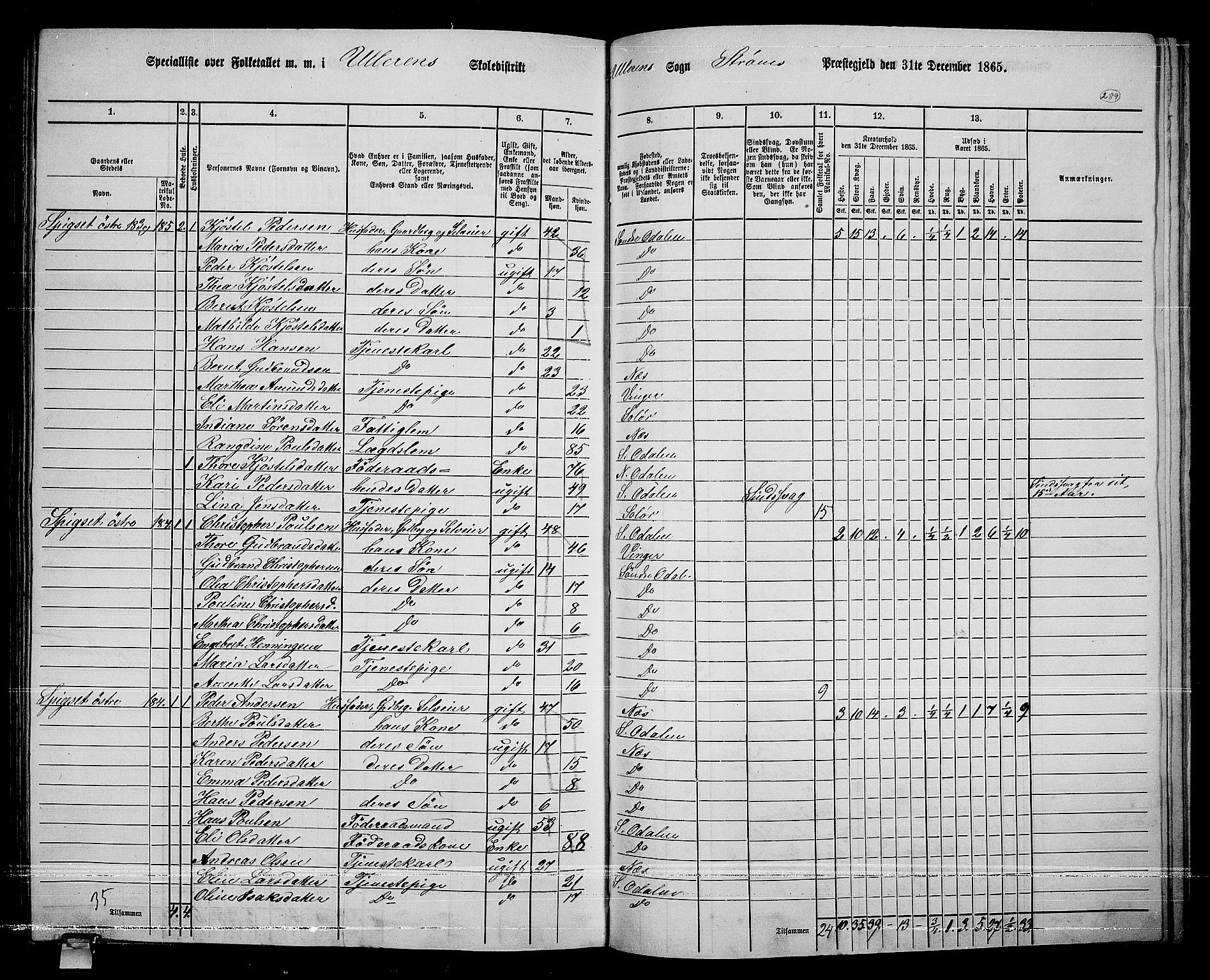 RA, 1865 census for Sør-Odal, 1865, p. 253