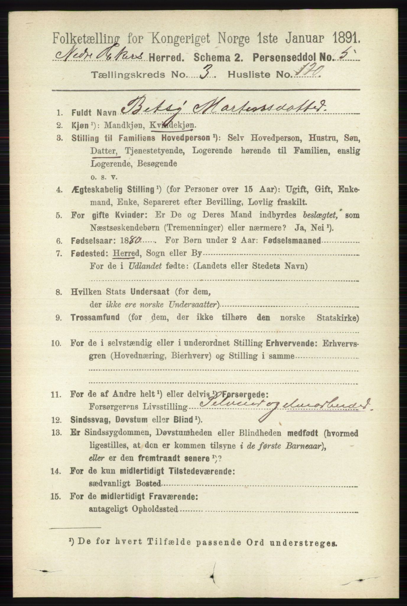 RA, 1891 census for 0625 Nedre Eiker, 1891, p. 1862