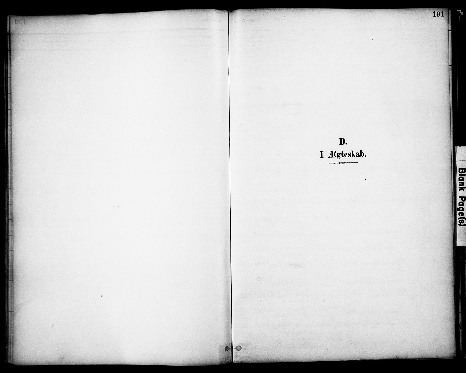 Sør-Odal prestekontor, AV/SAH-PREST-030/H/Ha/Haa/L0008: Parish register (official) no. 8, 1886-1922, p. 191