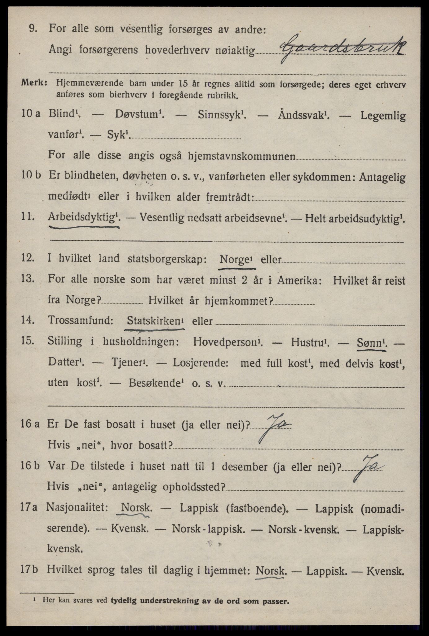 SAT, 1920 census for Soknedal, 1920, p. 3449