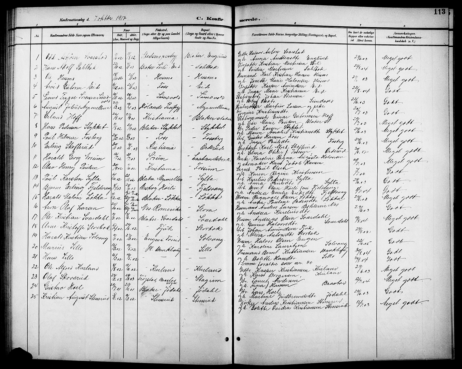 Aurskog prestekontor Kirkebøker, SAO/A-10304a/G/Gb/L0002: Parish register (copy) no. II 2, 1901-1926, p. 113