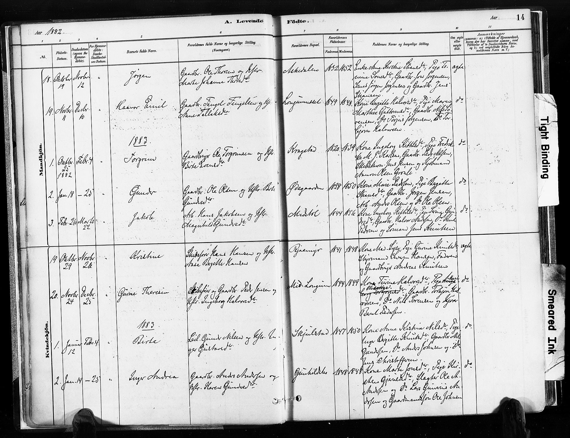 Austre Moland sokneprestkontor, AV/SAK-1111-0001/F/Fa/Faa/L0010: Parish register (official) no. A 10, 1880-1904, p. 14