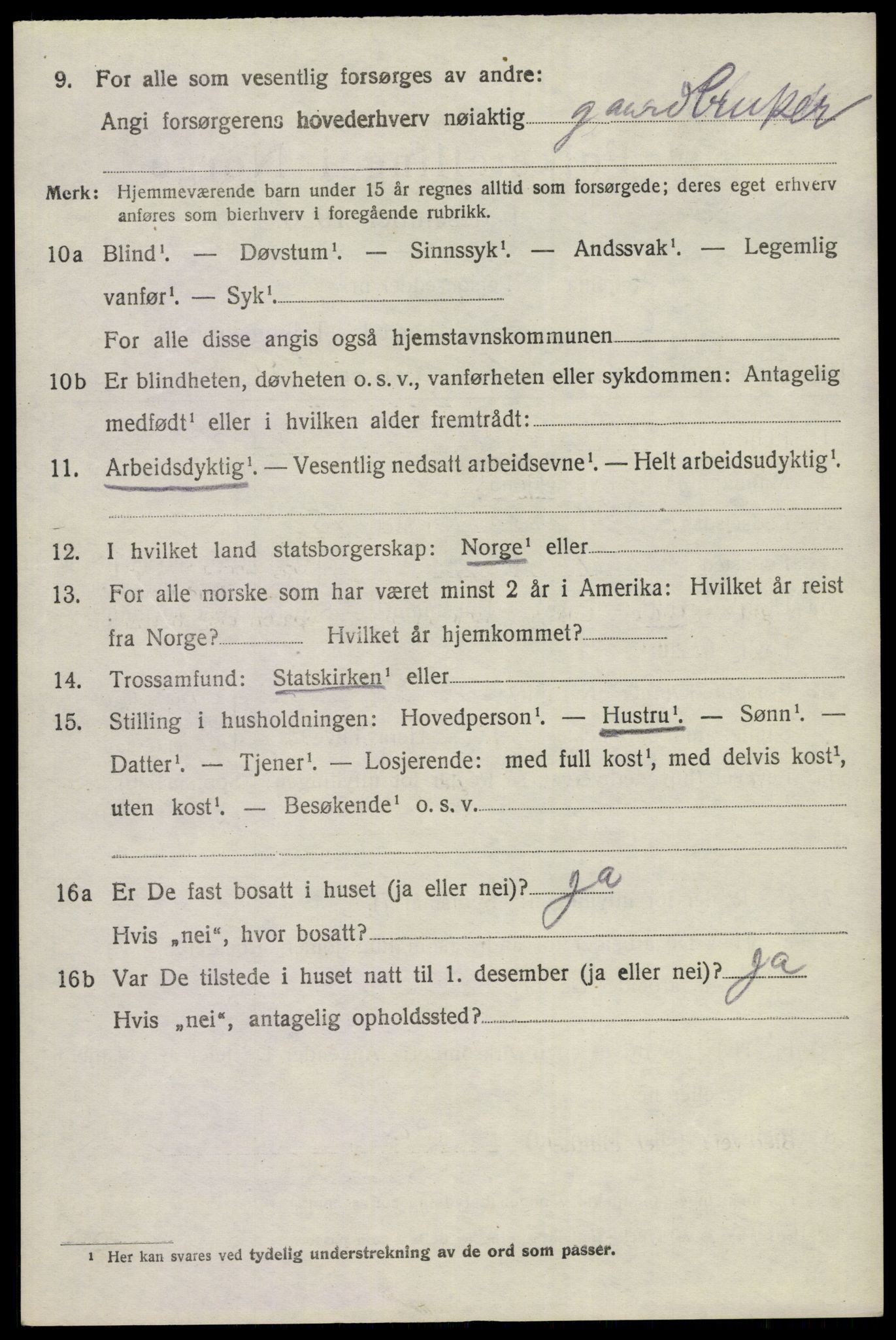 SAKO, 1920 census for Nes (Buskerud), 1920, p. 1019