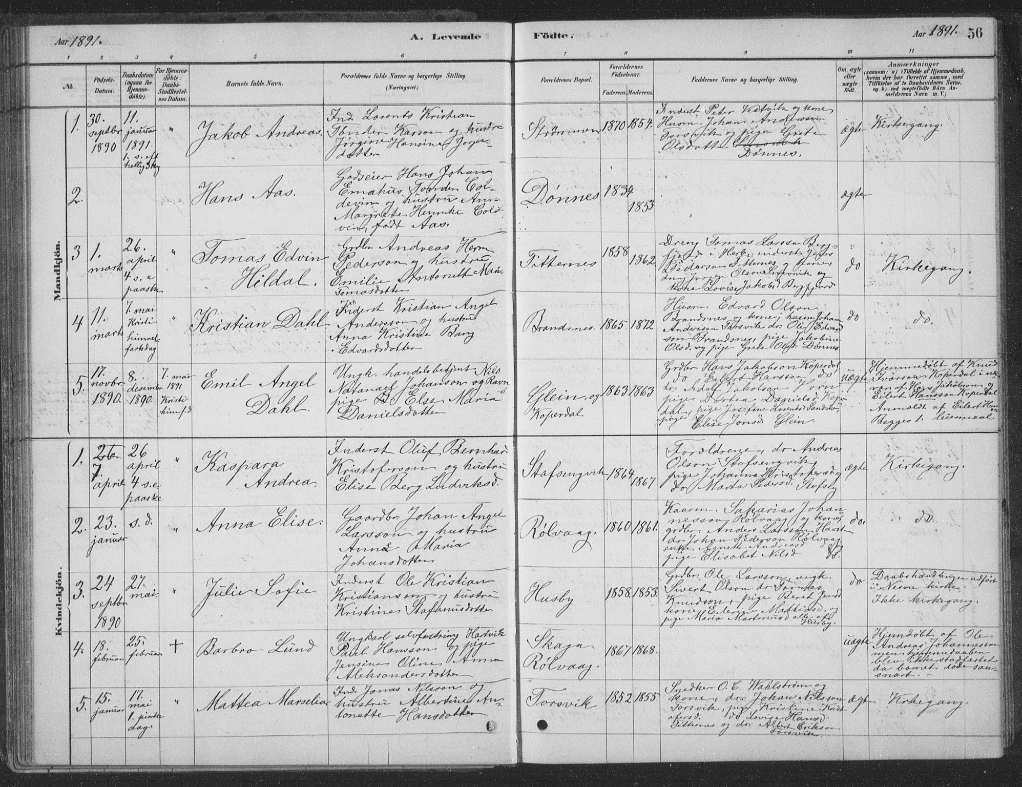 Ministerialprotokoller, klokkerbøker og fødselsregistre - Nordland, AV/SAT-A-1459/835/L0532: Parish register (copy) no. 835C04, 1880-1905, p. 56