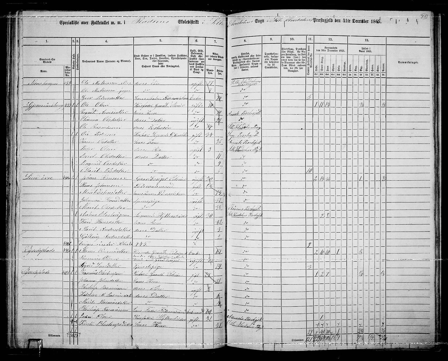 RA, 1865 census for Lille Elvedalen, 1865, p. 70