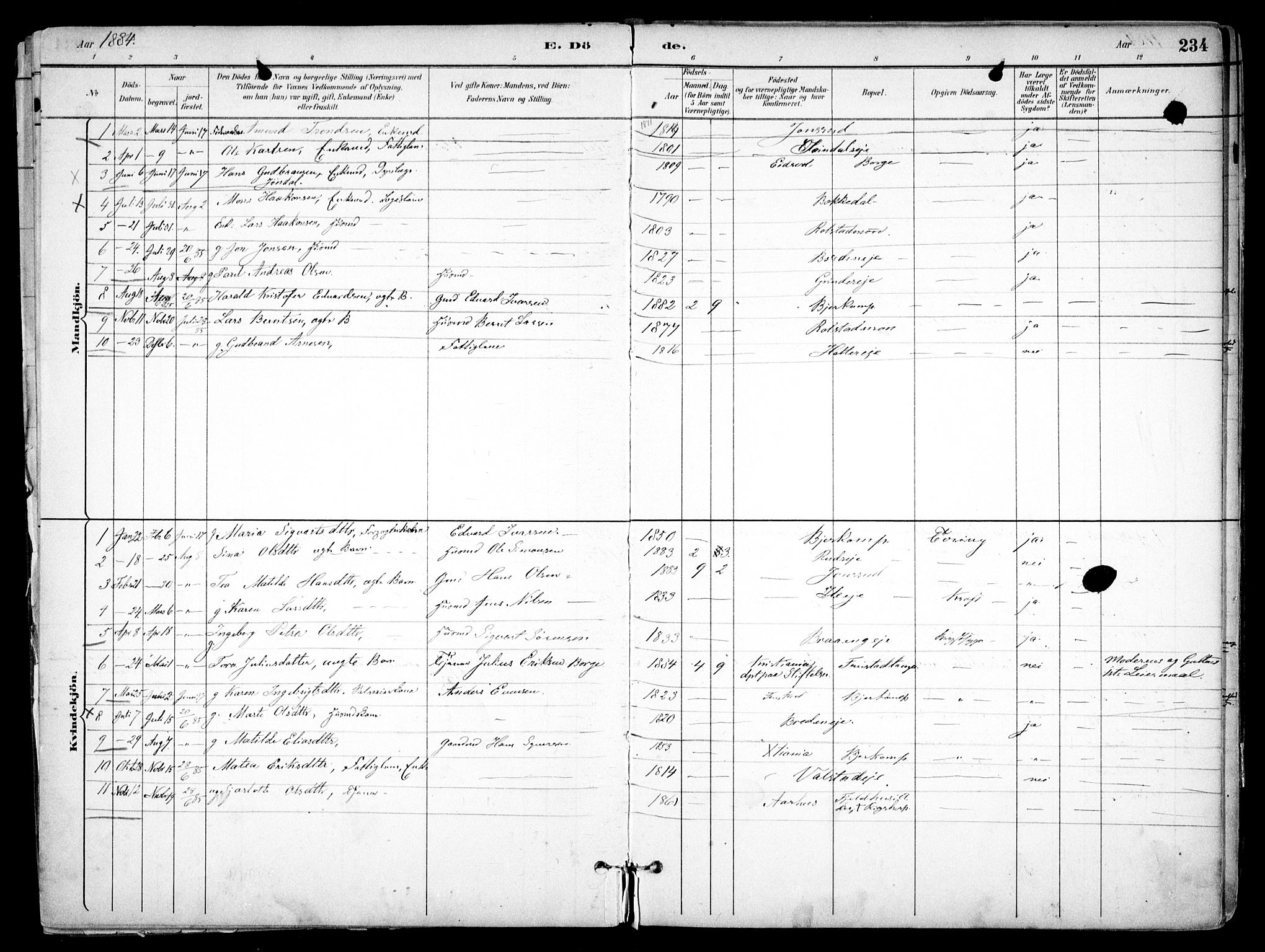 Nes prestekontor Kirkebøker, SAO/A-10410/F/Fb/L0002: Parish register (official) no. II 2, 1883-1918, p. 234