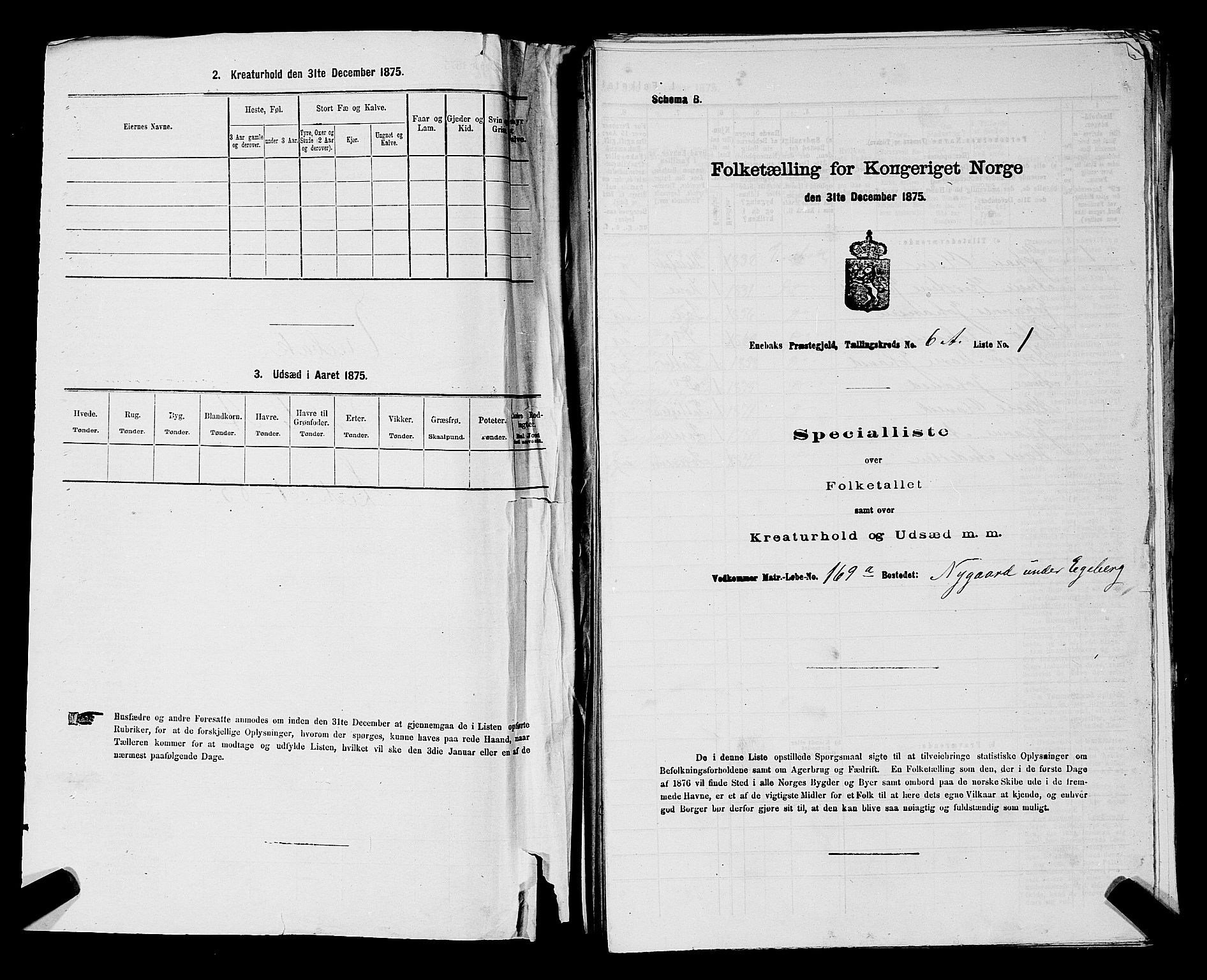 RA, 1875 census for 0229P Enebakk, 1875, p. 960