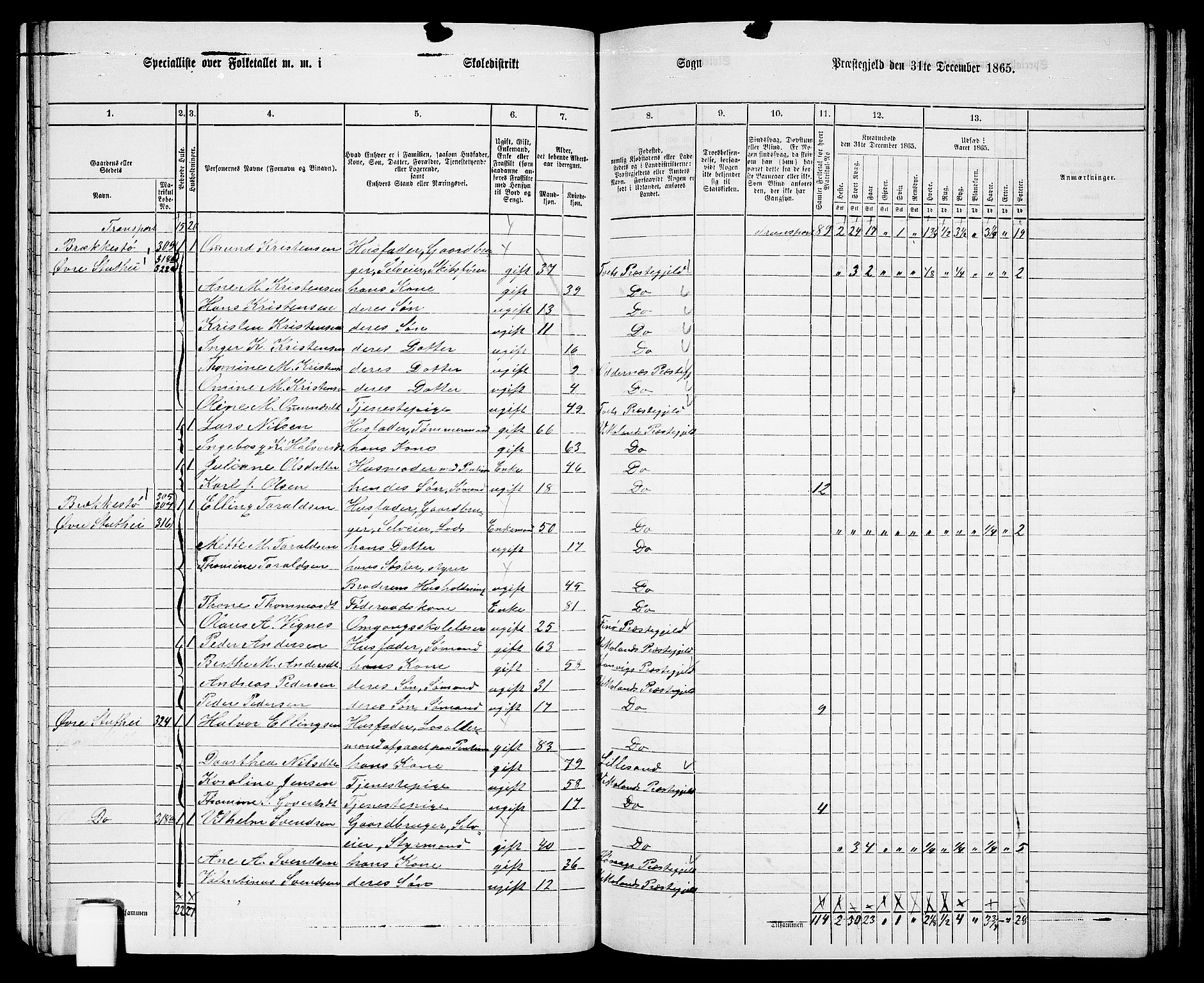 RA, 1865 census for Vestre Moland/Vestre Moland, 1865, p. 20