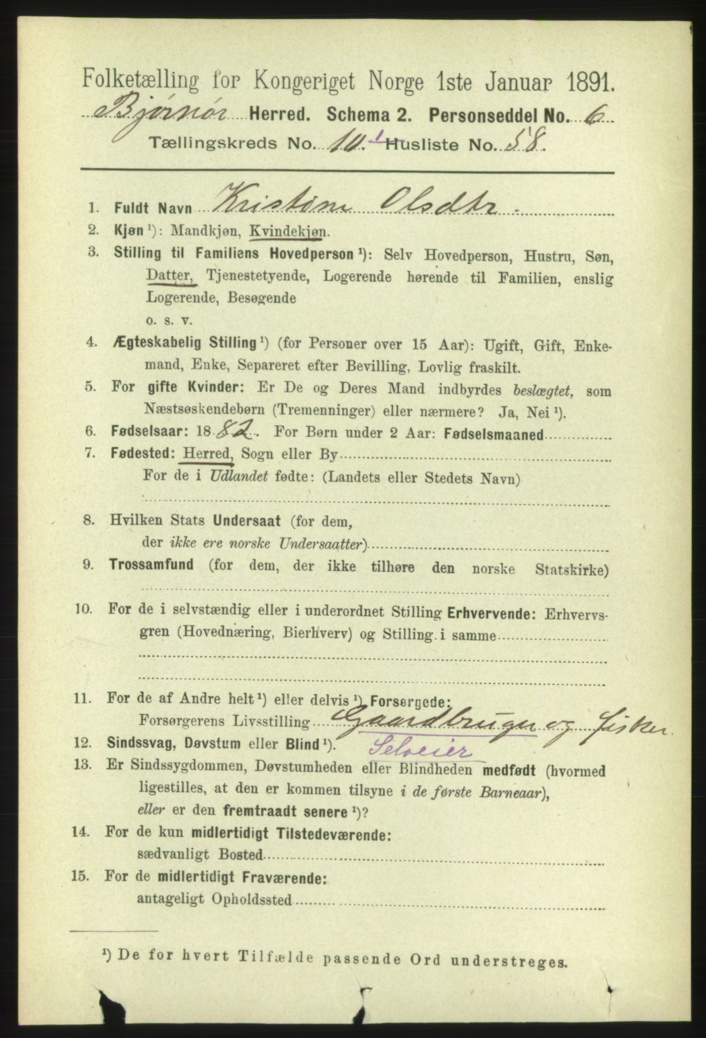 RA, 1891 census for 1632 Bjørnør, 1891, p. 4522