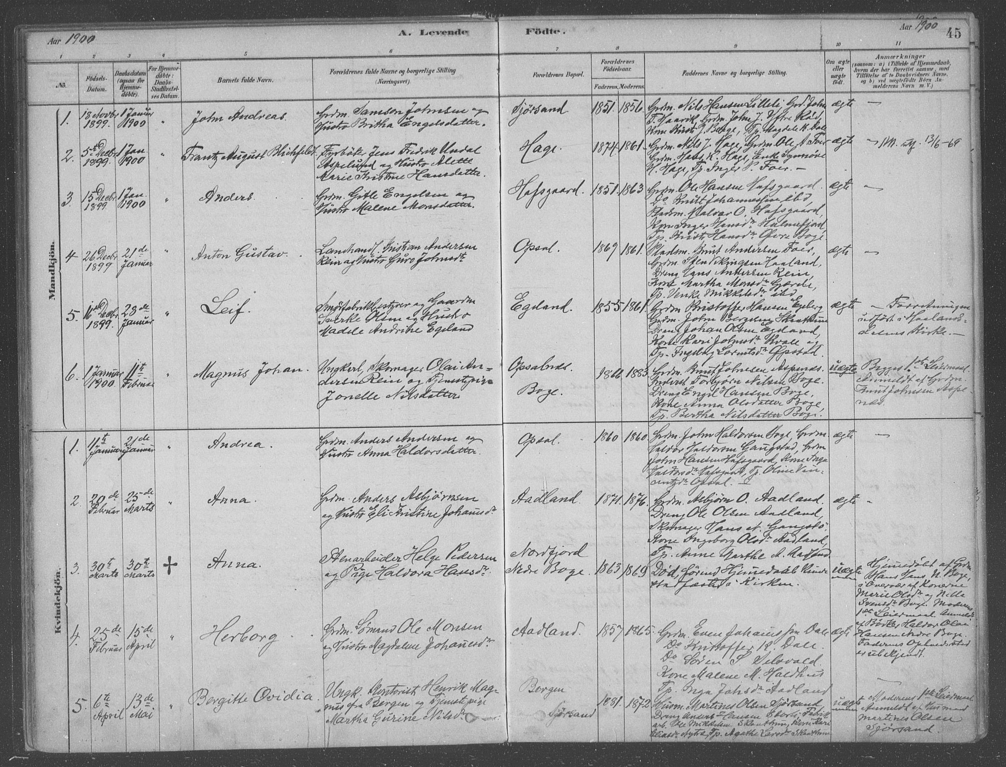 Fusa sokneprestembete, AV/SAB-A-75401/H/Haa: Parish register (official) no. B 1, 1880-1938, p. 45