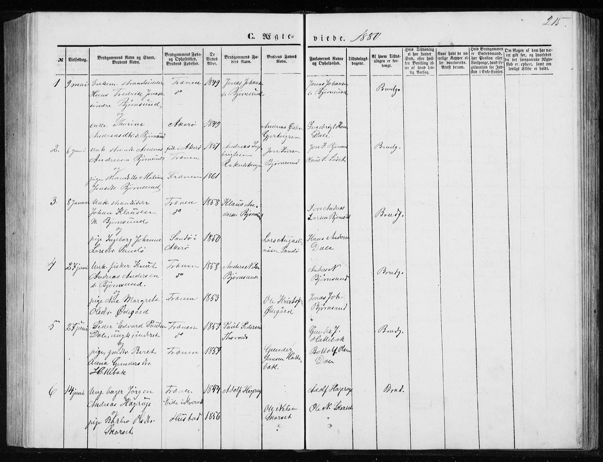 Ministerialprotokoller, klokkerbøker og fødselsregistre - Møre og Romsdal, SAT/A-1454/565/L0754: Parish register (copy) no. 565C03, 1870-1896, p. 215