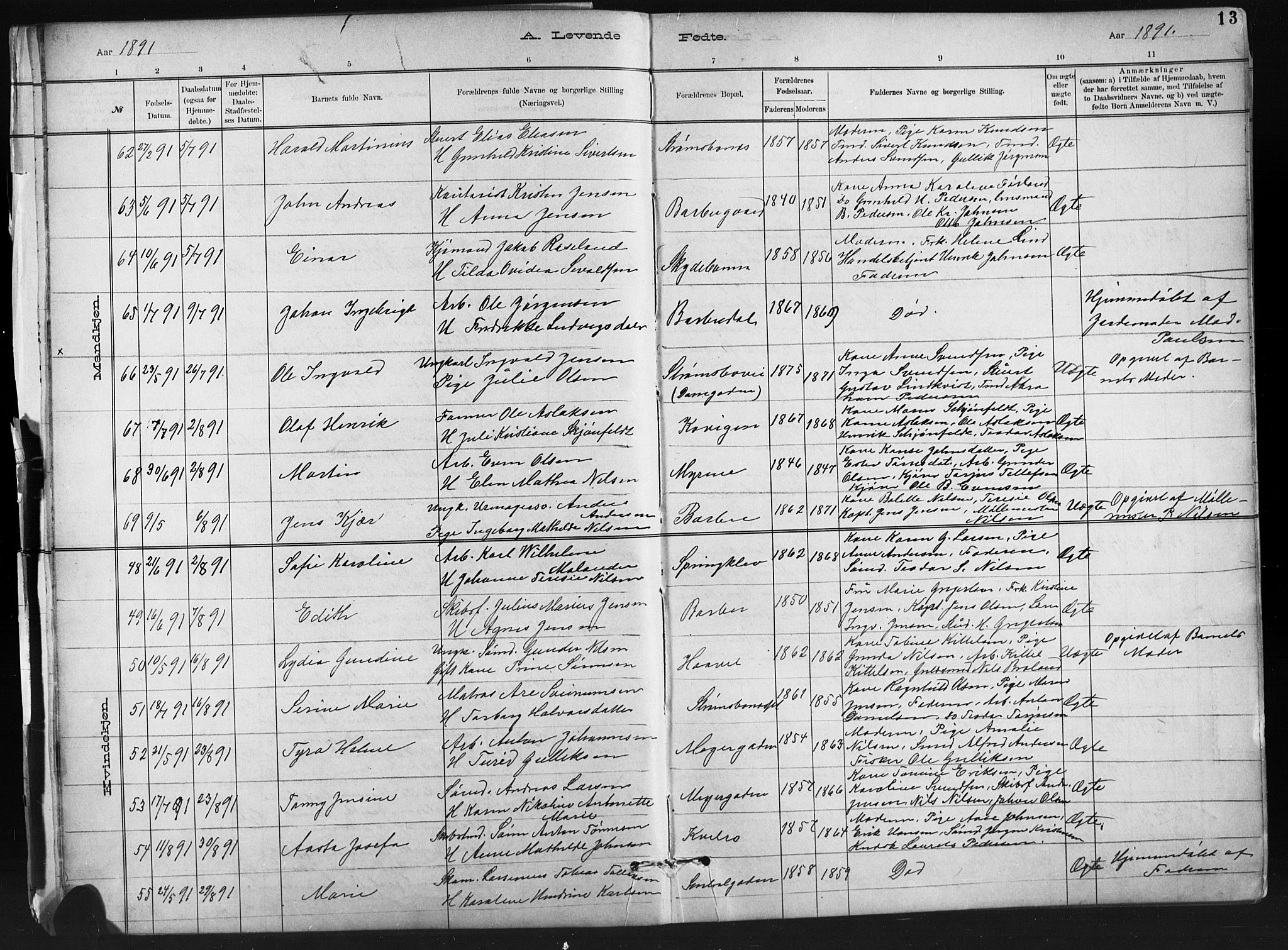 Barbu sokneprestkontor, AV/SAK-1111-0003/F/Fb/L0002: Parish register (copy) no. B 2, 1890-1922, p. 13