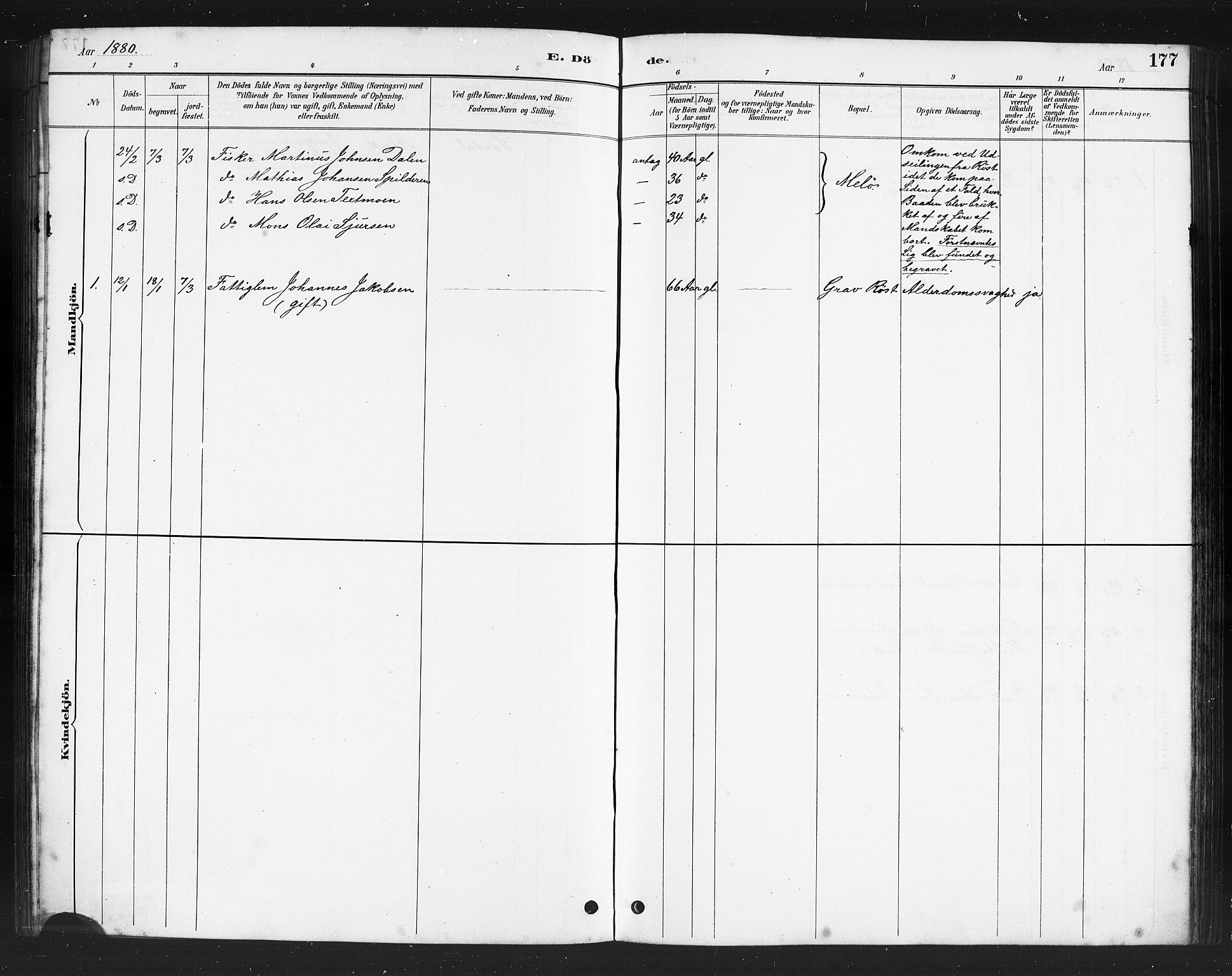 Ministerialprotokoller, klokkerbøker og fødselsregistre - Nordland, AV/SAT-A-1459/808/L0131: Parish register (copy) no. 808C02, 1879-1919, p. 177