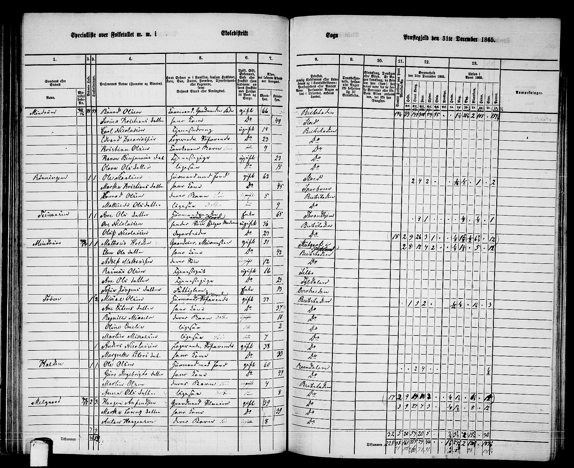 RA, 1865 census for Beitstad, 1865, p. 82