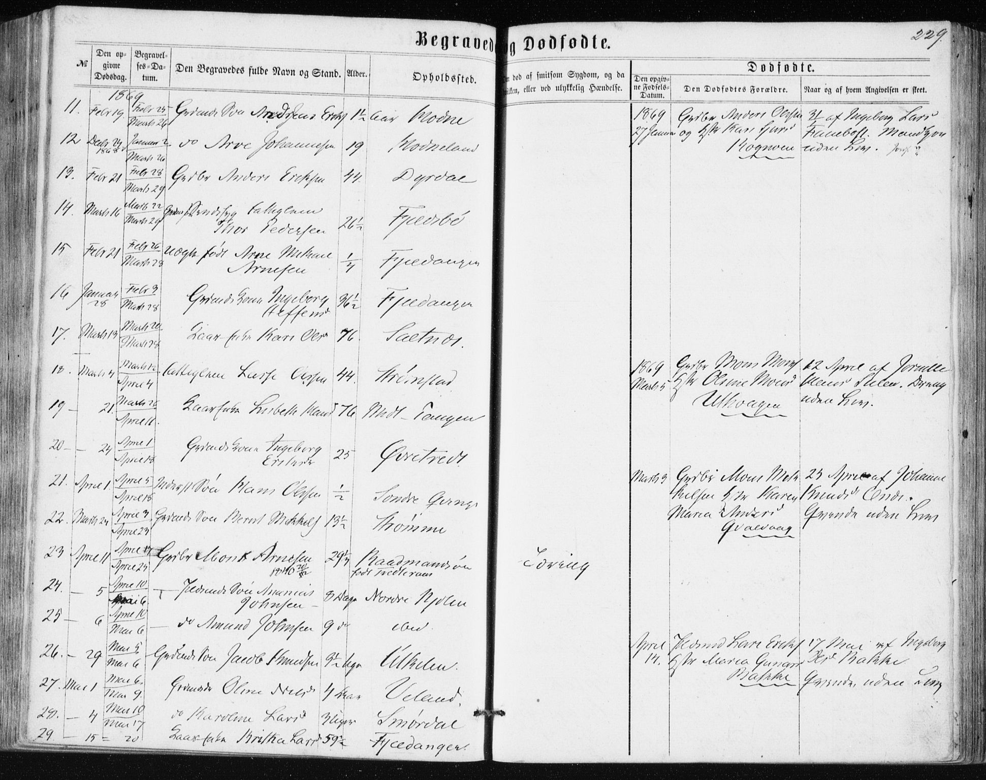 Lindås Sokneprestembete, SAB/A-76701/H/Haa: Parish register (official) no. A 16, 1863-1875, p. 229