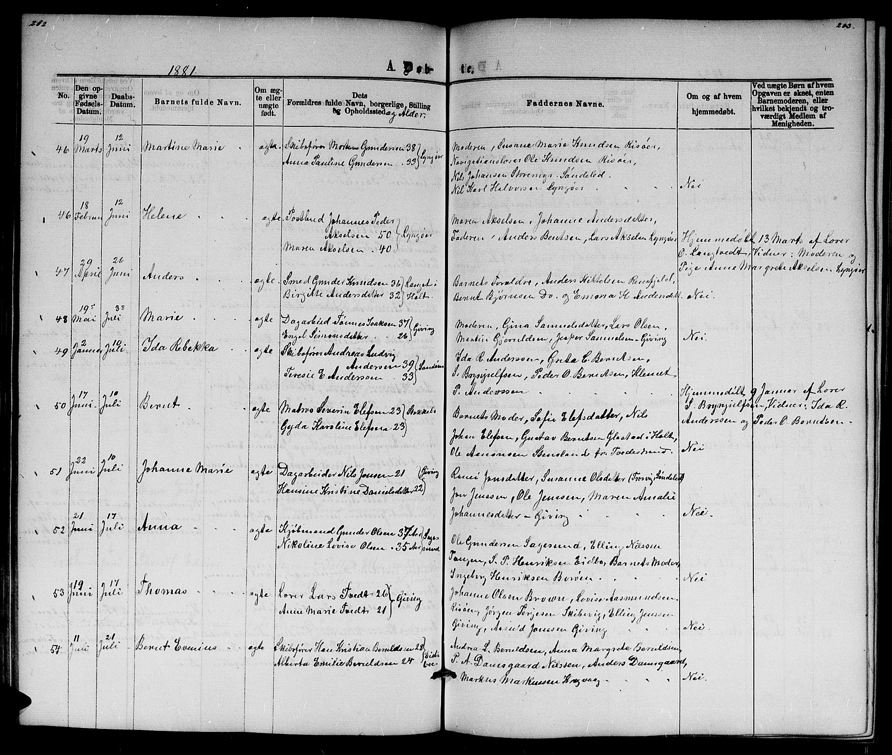 Dypvåg sokneprestkontor, AV/SAK-1111-0007/F/Fb/Fba/L0012: Parish register (copy) no. B 12, 1872-1886, p. 202-203