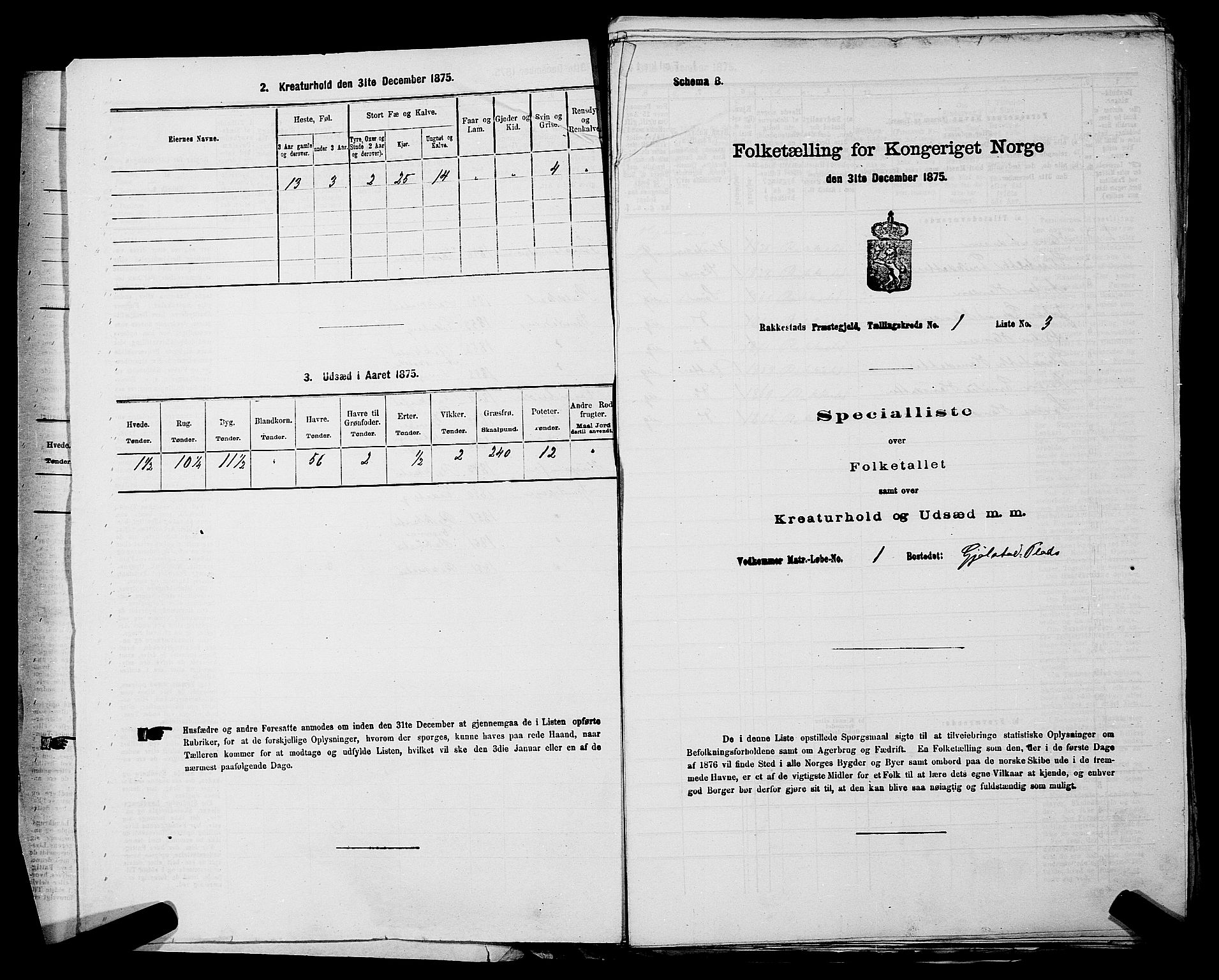 RA, 1875 census for 0128P Rakkestad, 1875, p. 80