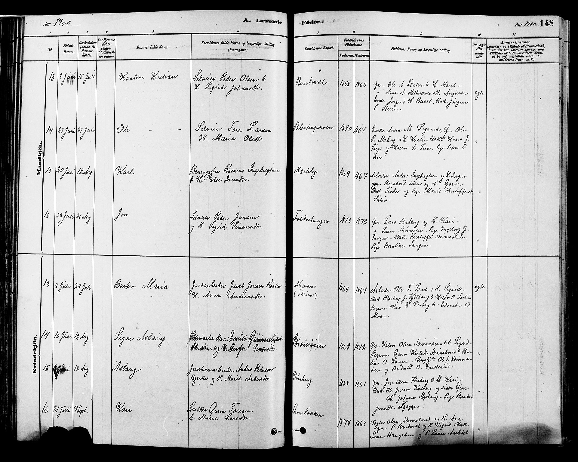 Alvdal prestekontor, AV/SAH-PREST-060/H/Ha/Hab/L0003: Parish register (copy) no. 3, 1878-1907, p. 148